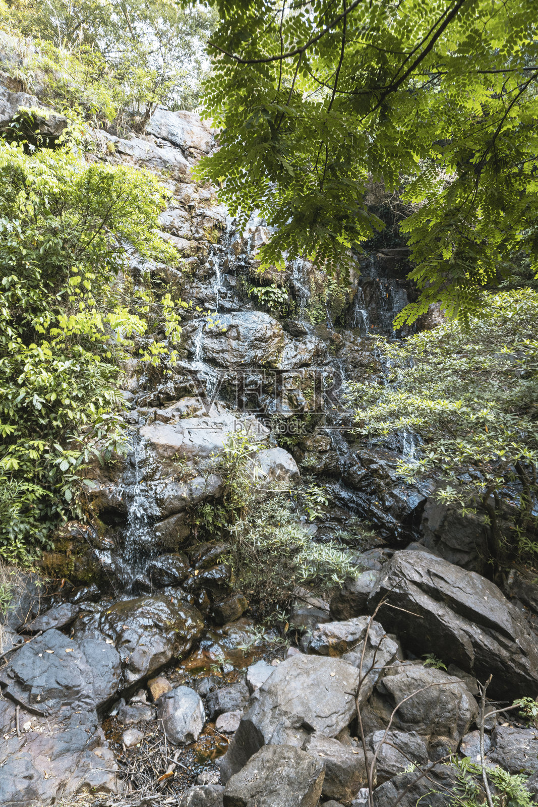 越南。越南的隐秘森林瀑布照片摄影图片