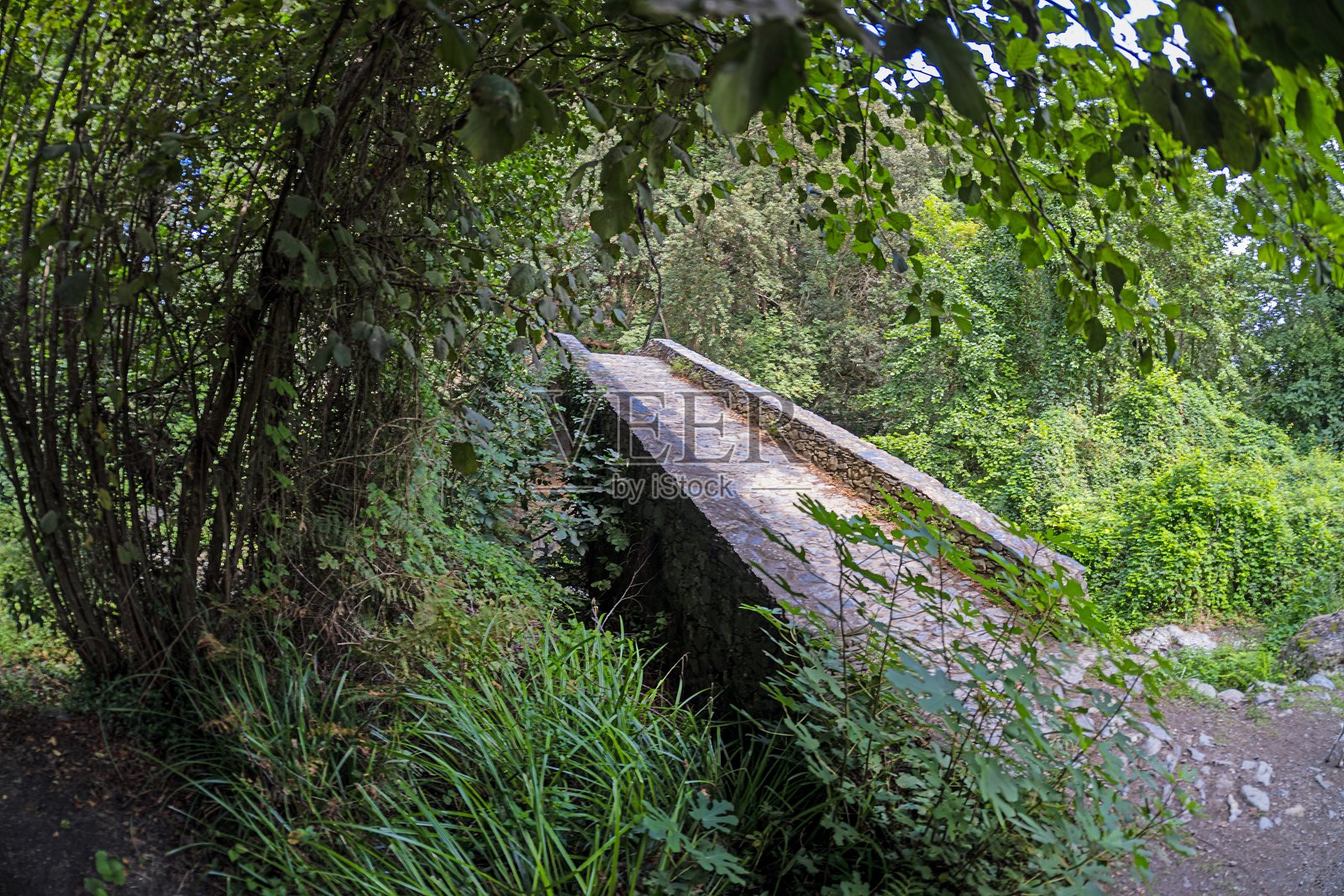 科西嘉岛上被郁郁葱葱的绿意和自然美景环绕的历史石桥布卡托桥照片摄影图片