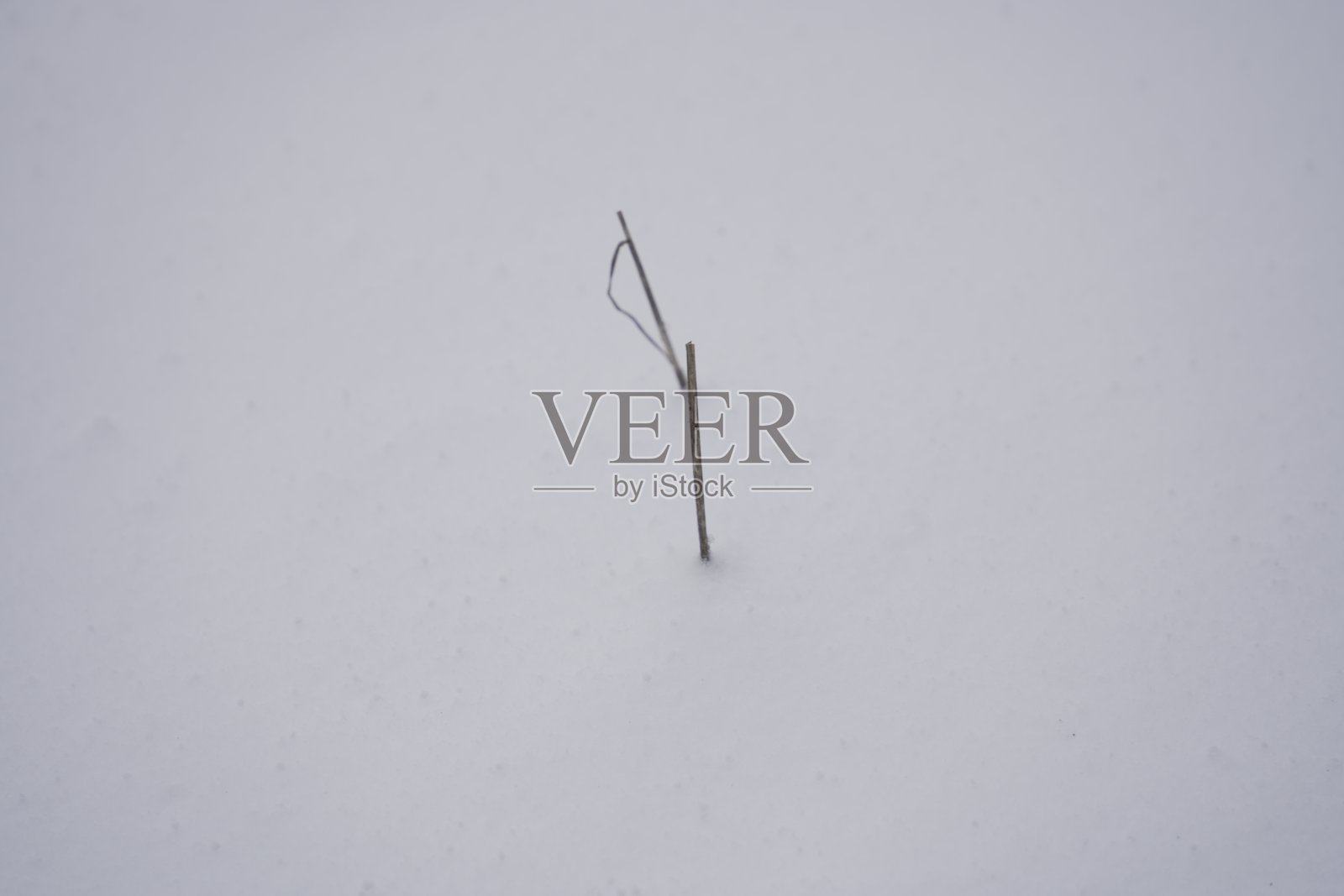 冬季仙境照片摄影图片