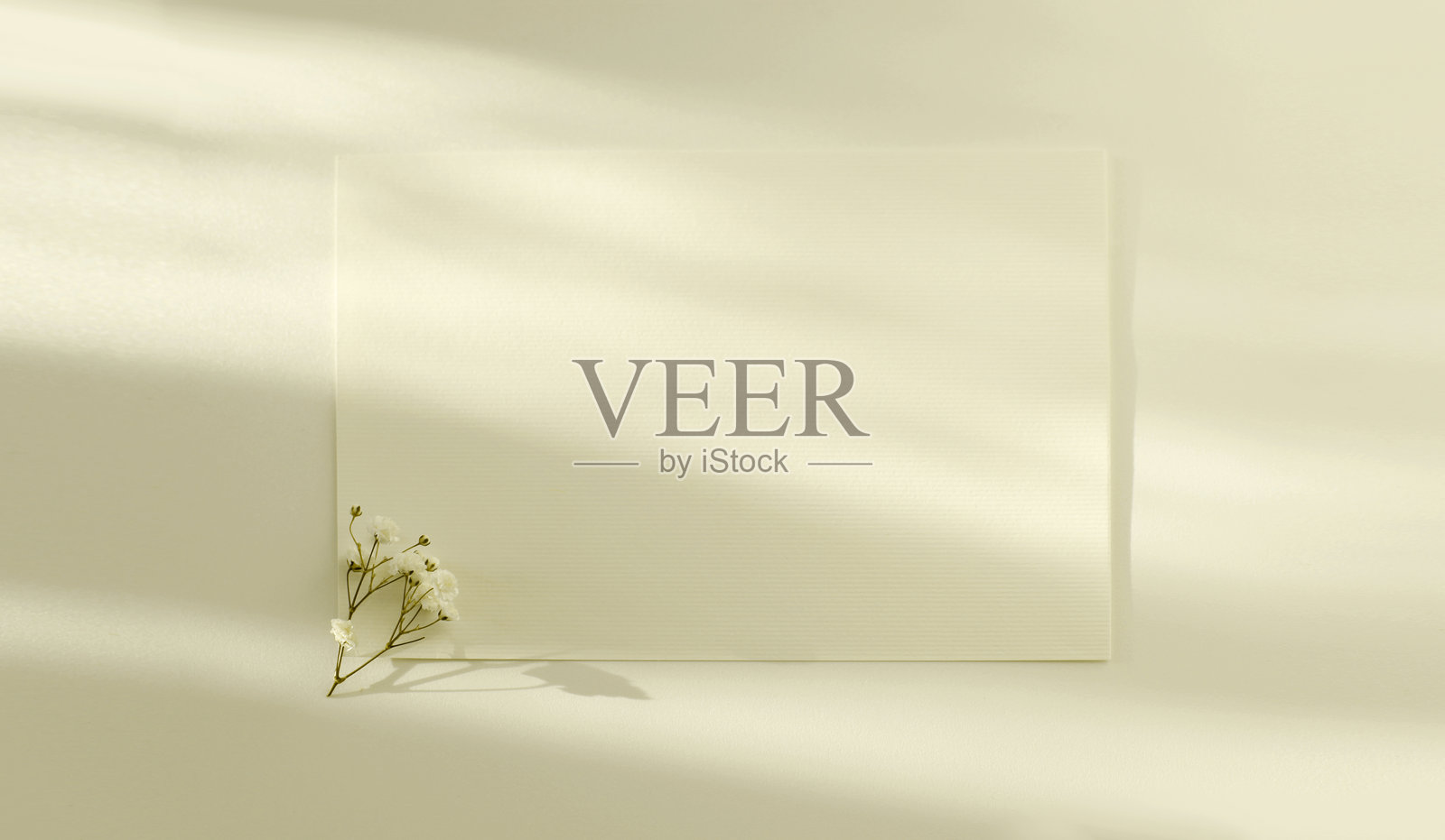 空白纹理画布纸卡,留有空间供您填写文本信息,搭配满天星花。简约风格的光影模板背景。俯视图。照片摄影图片