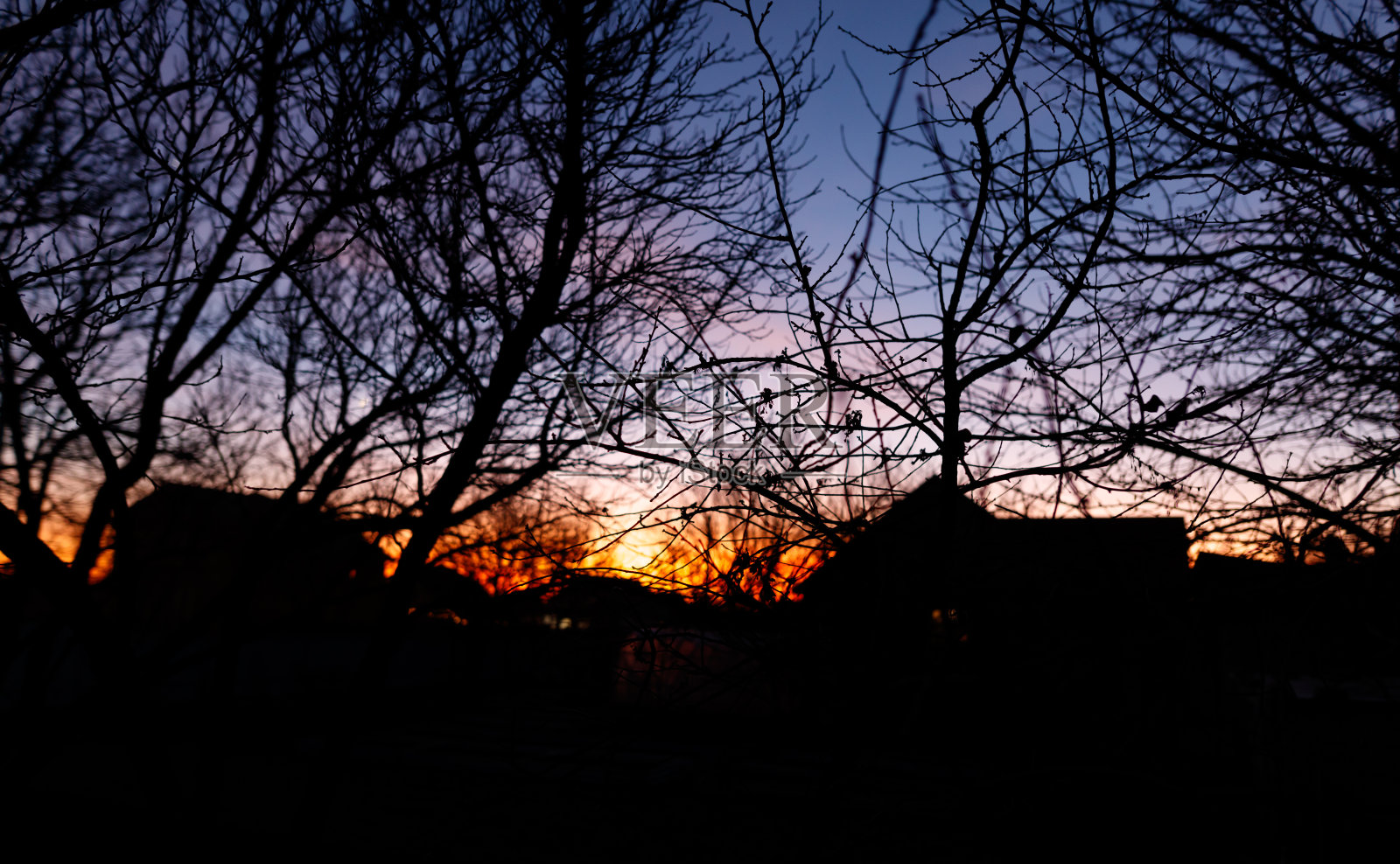 天空阴暗,树木光秃。照片摄影图片