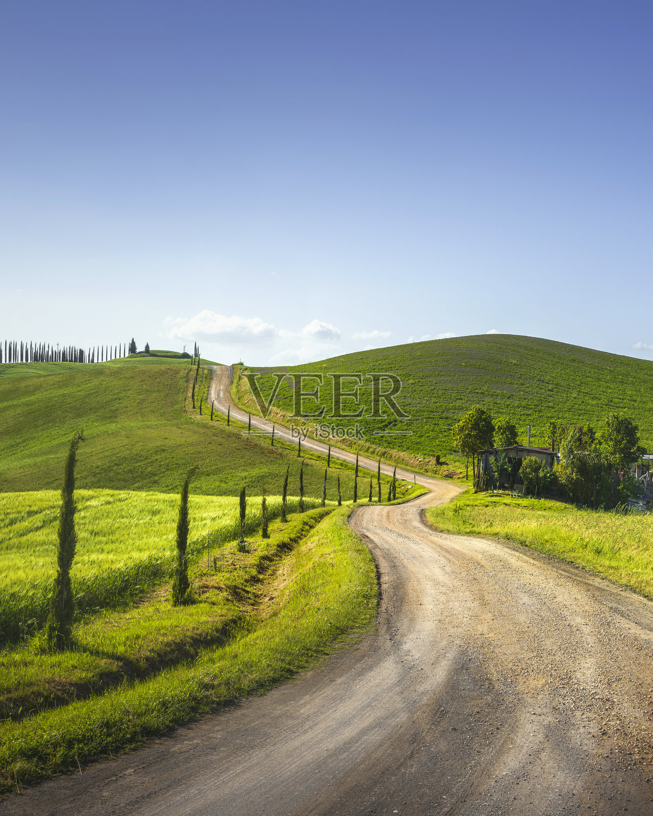 蒙特罗尼·达尔比亚,法兰奇吉纳之路。蜿蜒的道路。锡耶纳,托斯卡纳,意大利。照片摄影图片