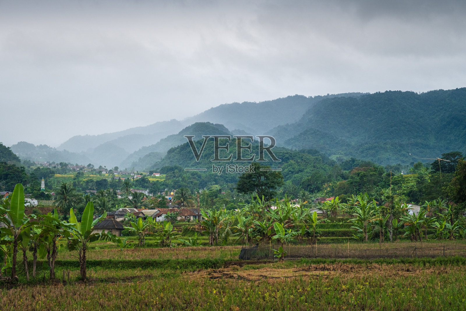 宁静的村庄坐落在雾气弥漫的山丘之间照片摄影图片