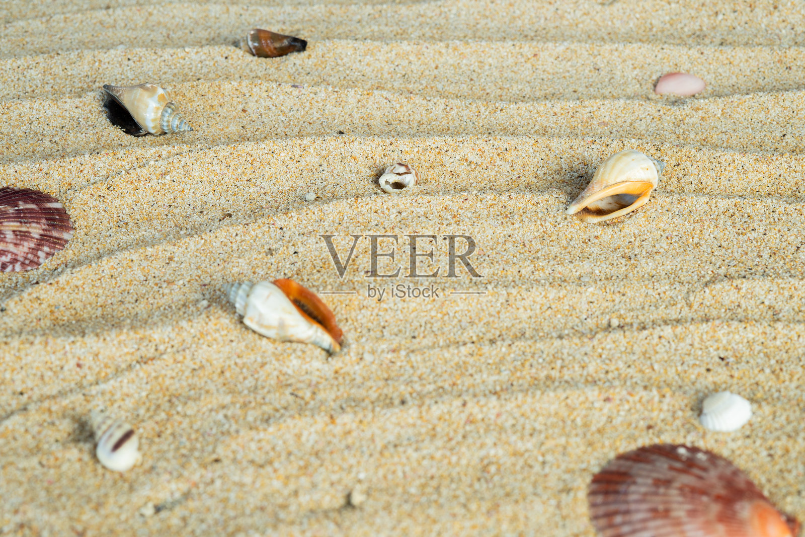 抽象夏季空白背景照片摄影图片