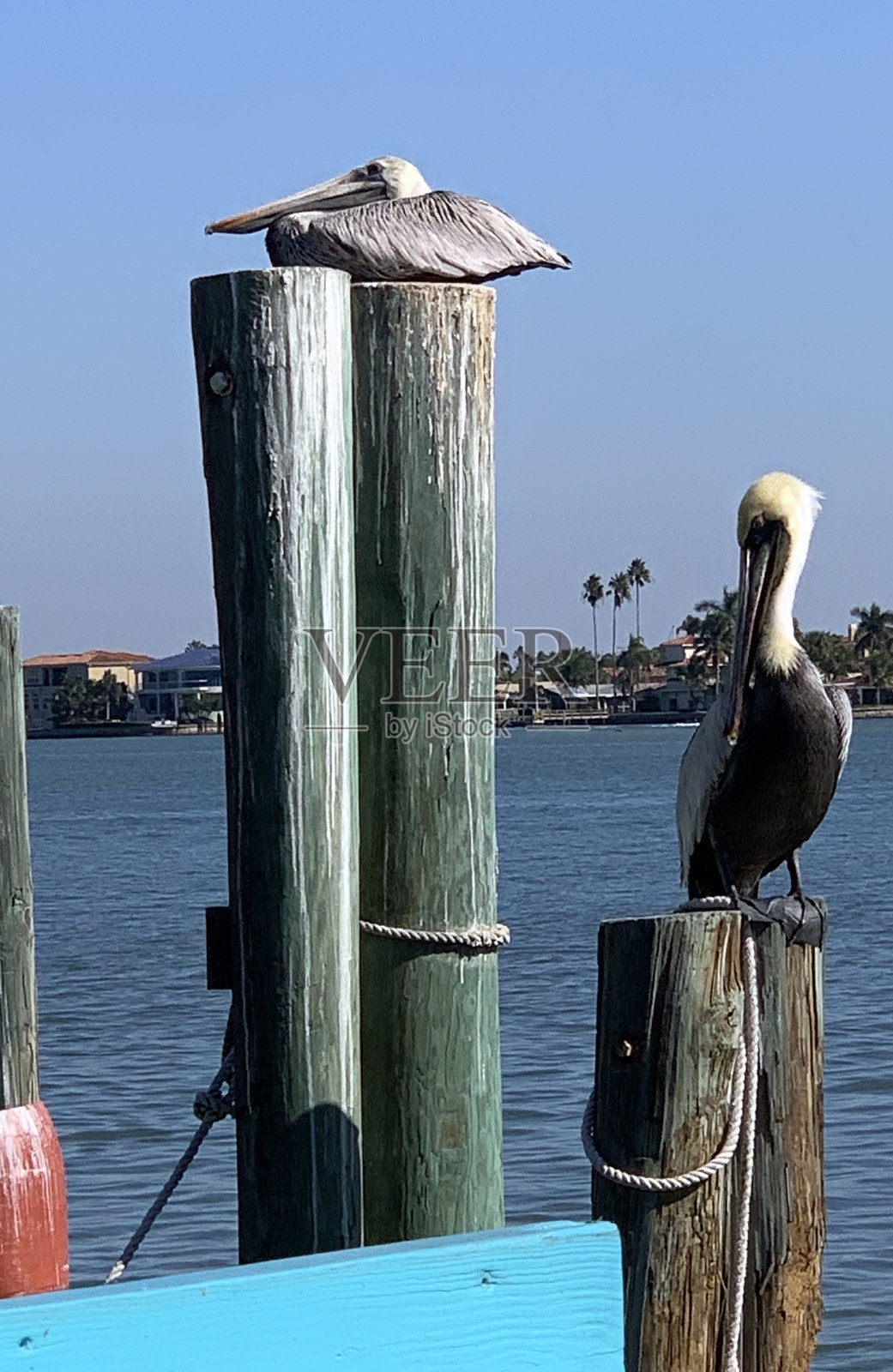 放松一下照片摄影图片