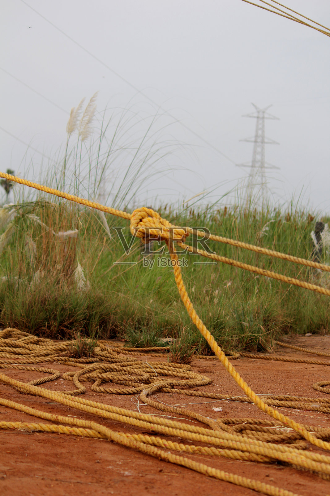 田野中扭曲绳索的特写镜头照片摄影图片