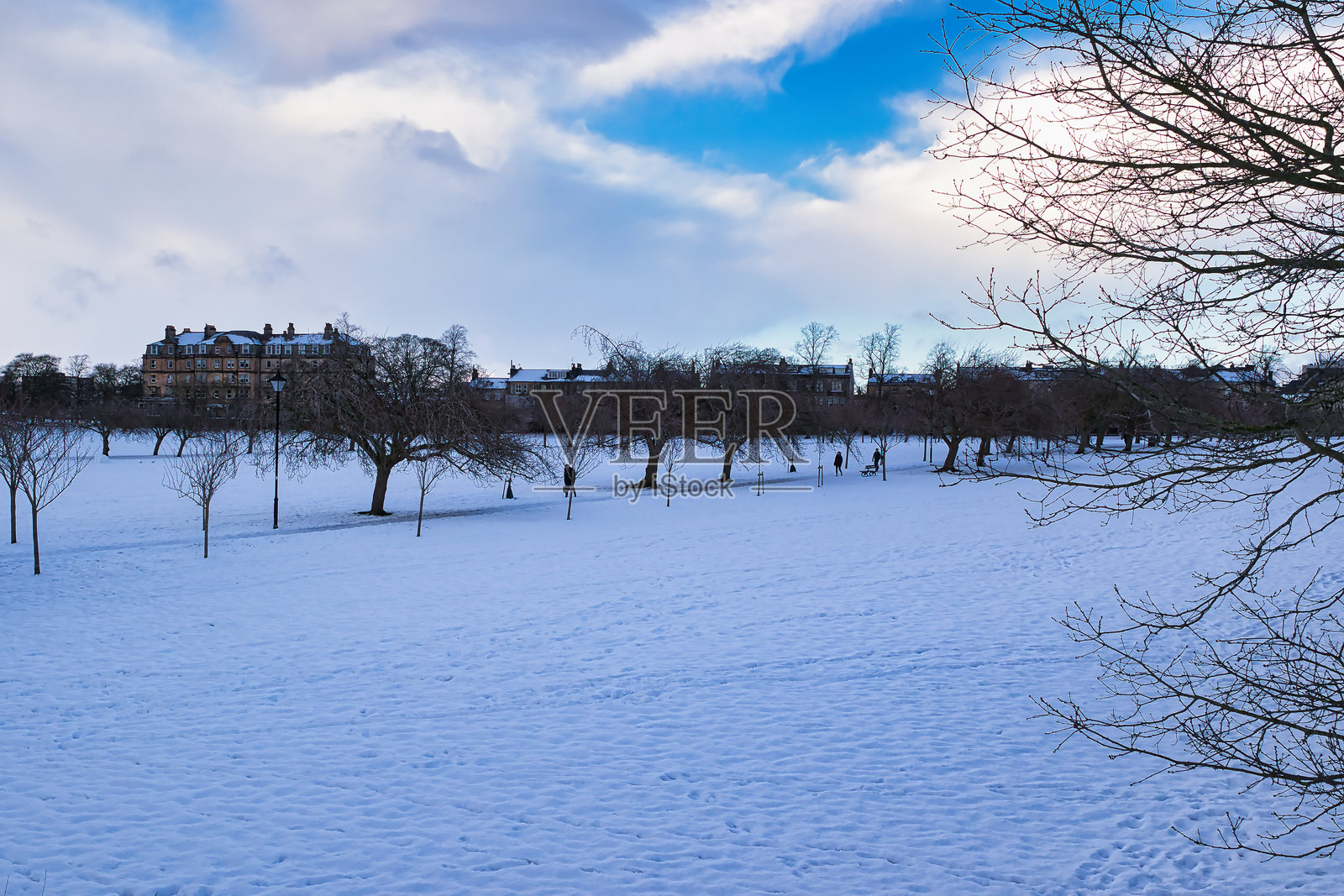哈罗盖特,英国的雪覆盖公园,周围有建筑和光秃的树木。照片摄影图片