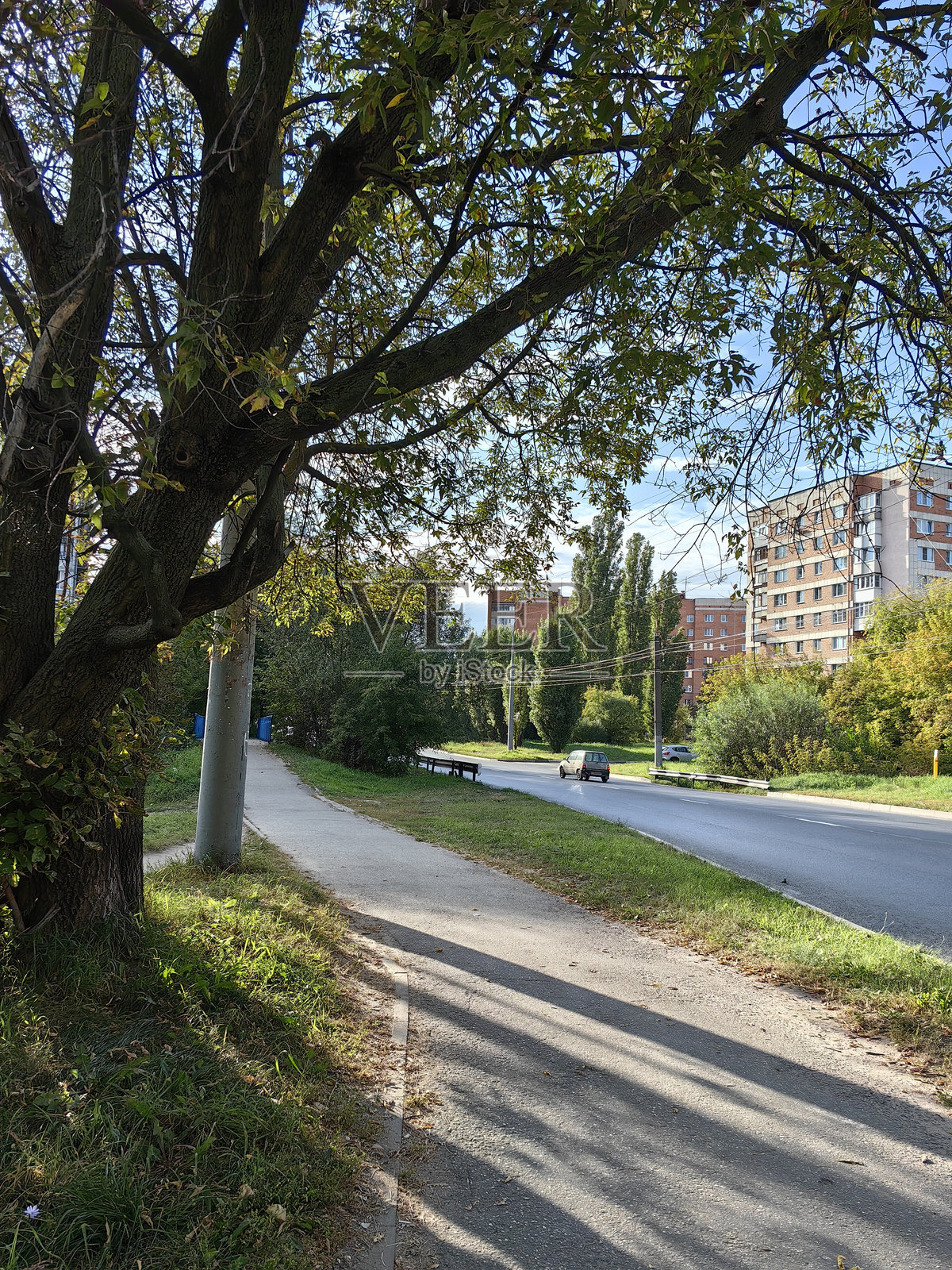 一条城市道路上有一辆车,路边有人行道和步道,远处有一棵树和多层建筑。初秋。俄罗斯。下诺夫哥罗德。普罗斯维申斯卡亚街。2024年9月。照片。照片摄影图片