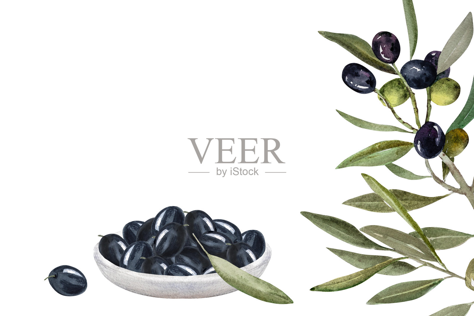 白盘中的橄榄果,带有果实和叶子的橄榄枝,水彩插图。手绘水彩橄榄果剪贴画。插画图片素材