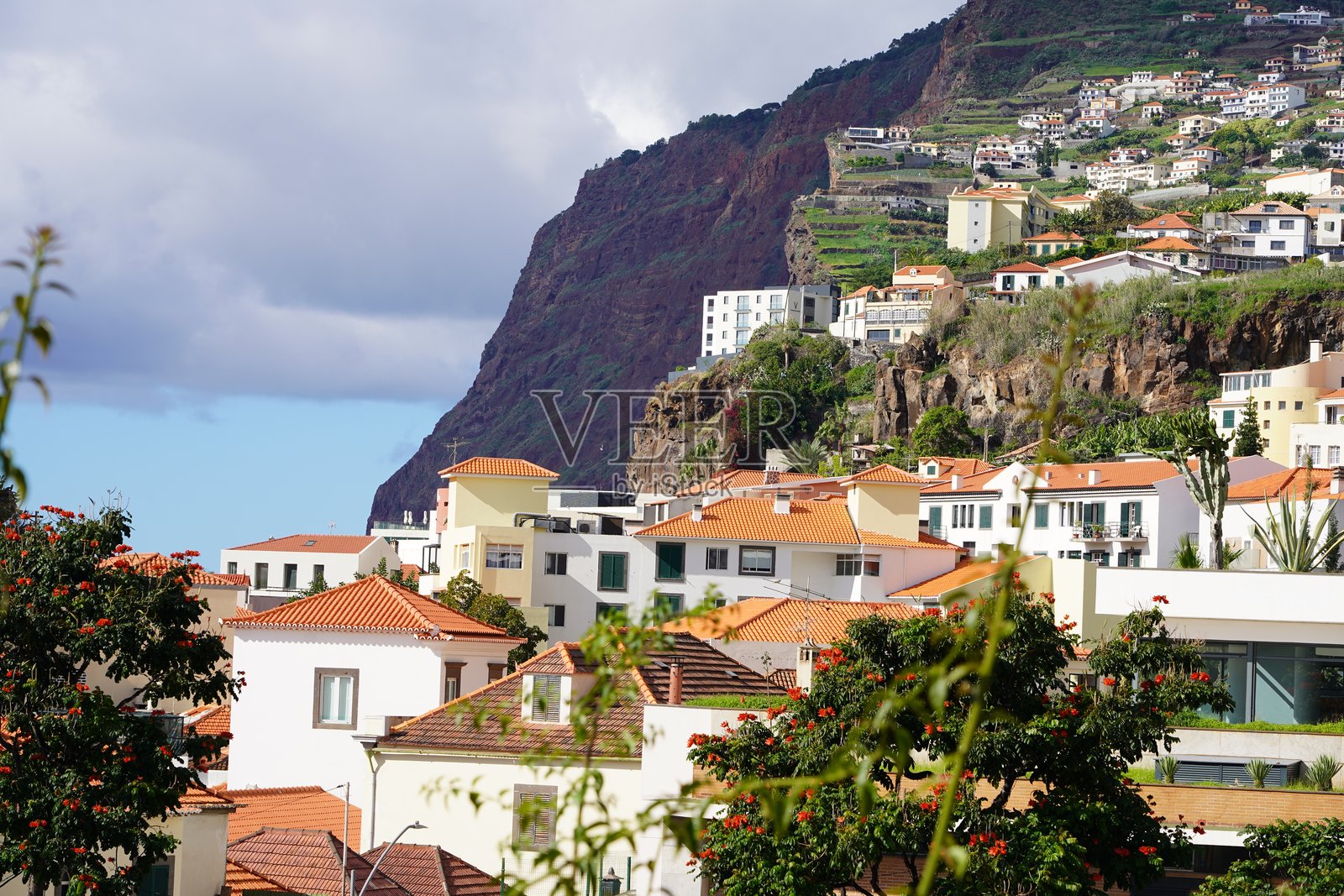 卡马拉·德·洛博斯(Camara de Lobos)是葡萄牙马德拉岛南海岸的一个市镇和小镇。照片摄影图片