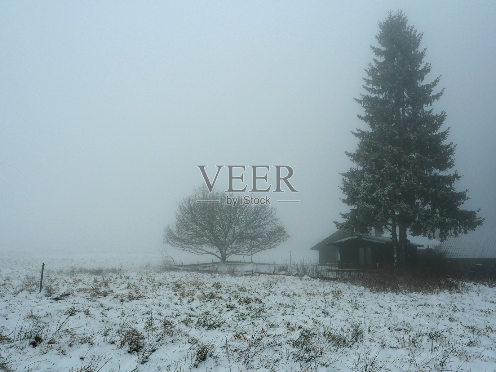 雾中的冬季风景,房屋和冷杉树照片摄影图片