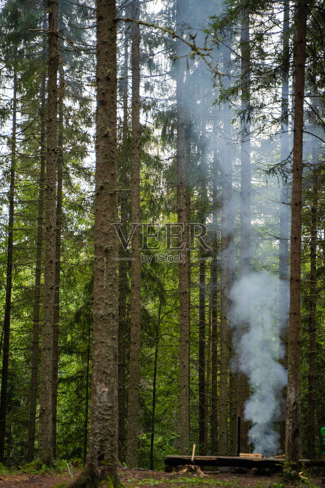 森林中的烟雾和火焰照片摄影图片