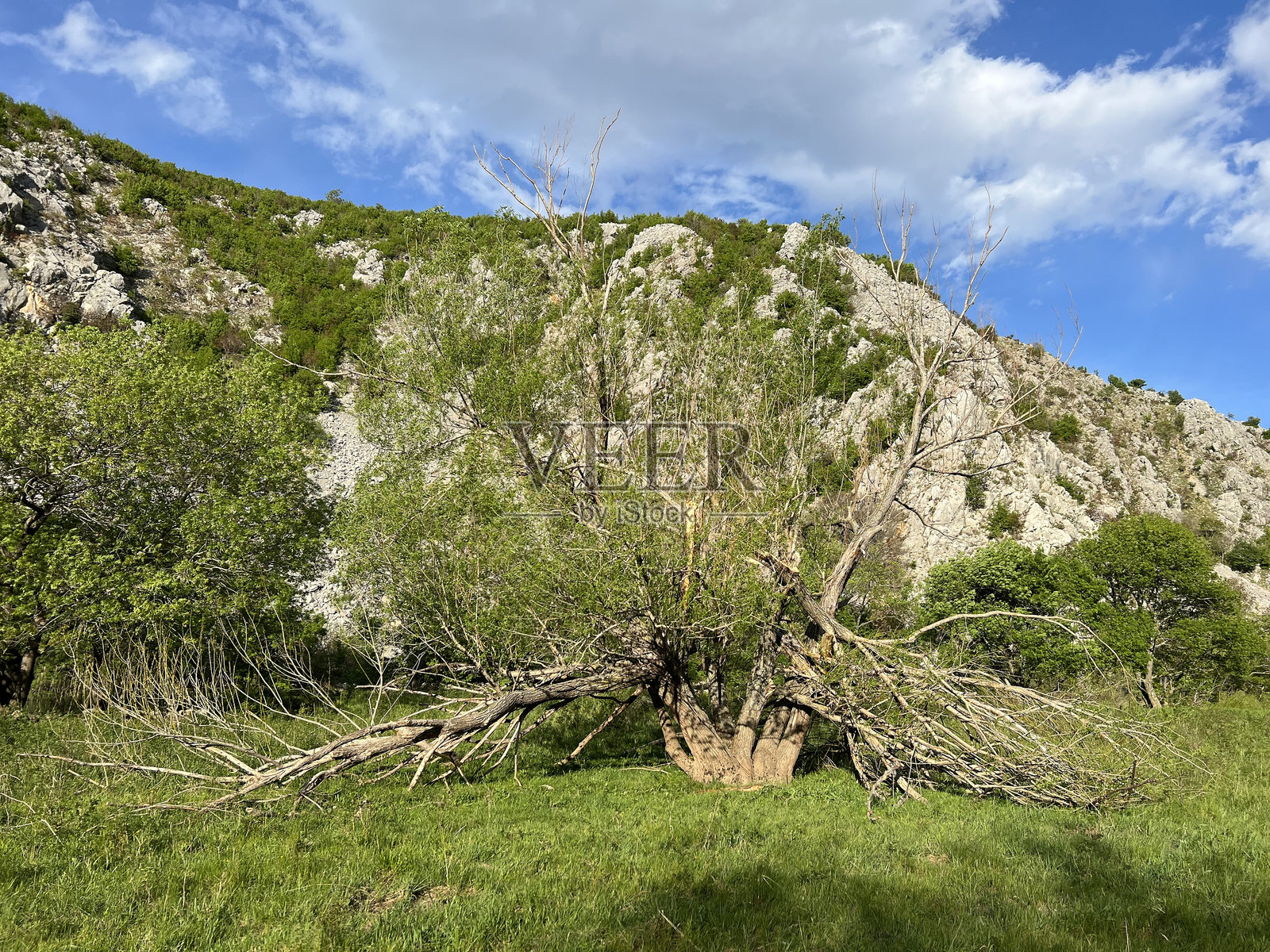 克鲁帕河峡谷,兹尔曼亚的右支流(维莱比特自然公园,克罗地亚)照片摄影图片