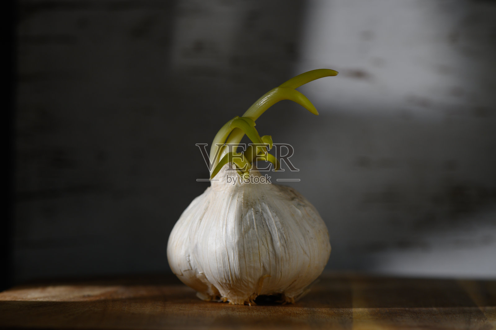 在日落时分,凉爽的厨房环境中,发芽的蒜头投射出阴影。照片摄影图片