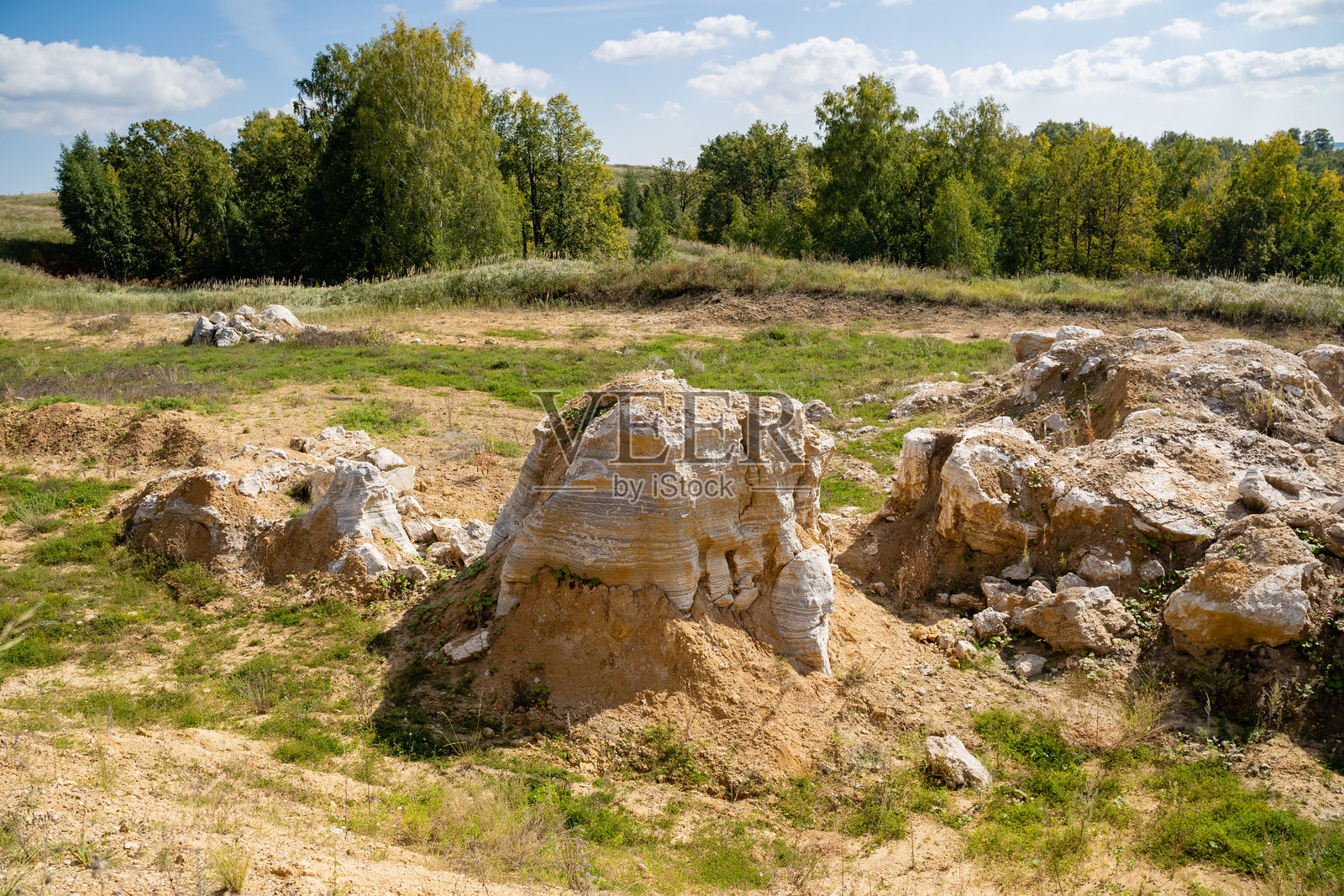 在宁静的田野中,有一堆独特的岩石,周围环绕着郁郁葱葱的绿植和各种树木,形成了美丽的自然背景,增添了风景的魅力。照片摄影图片