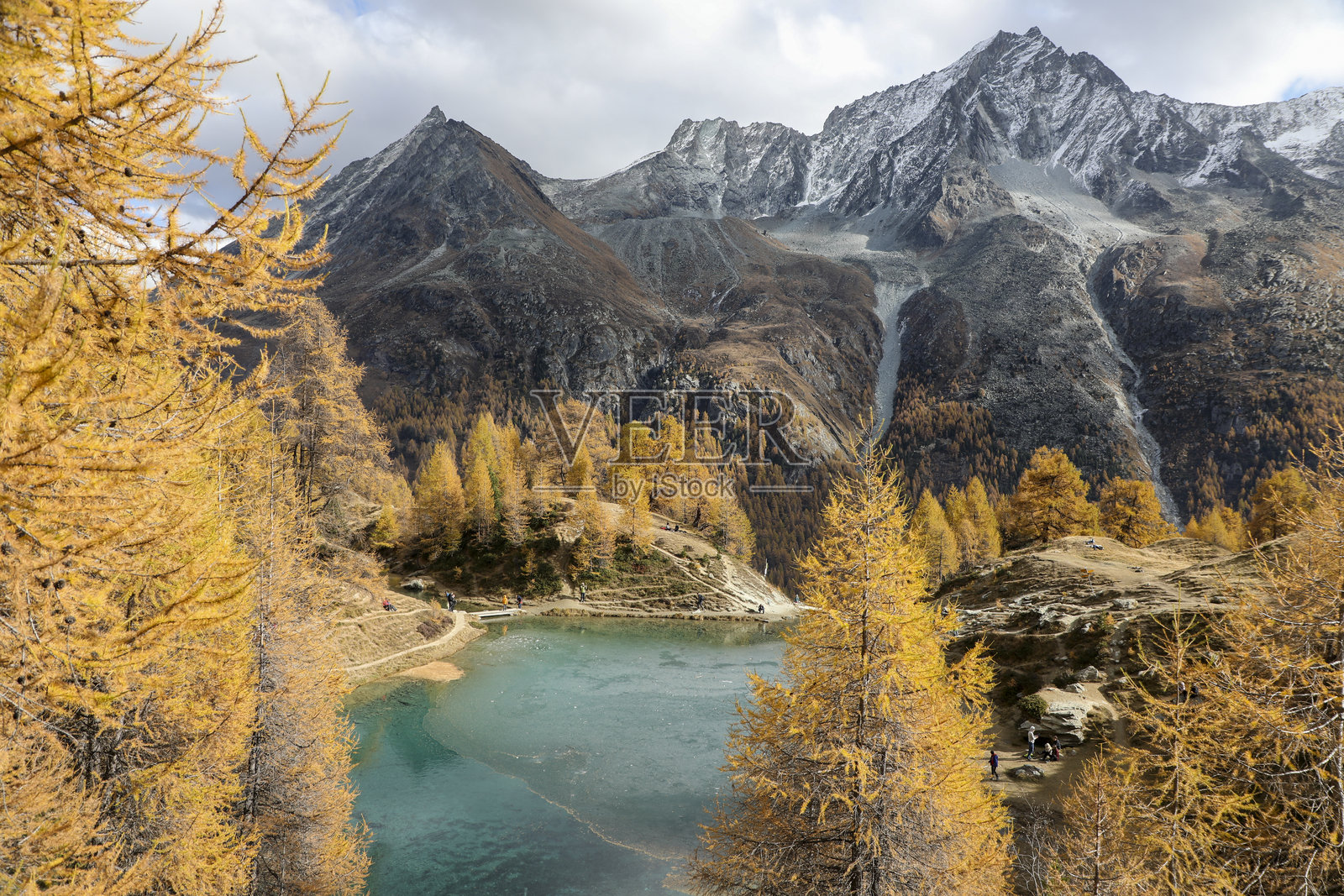 阿罗拉的秋天照片摄影图片