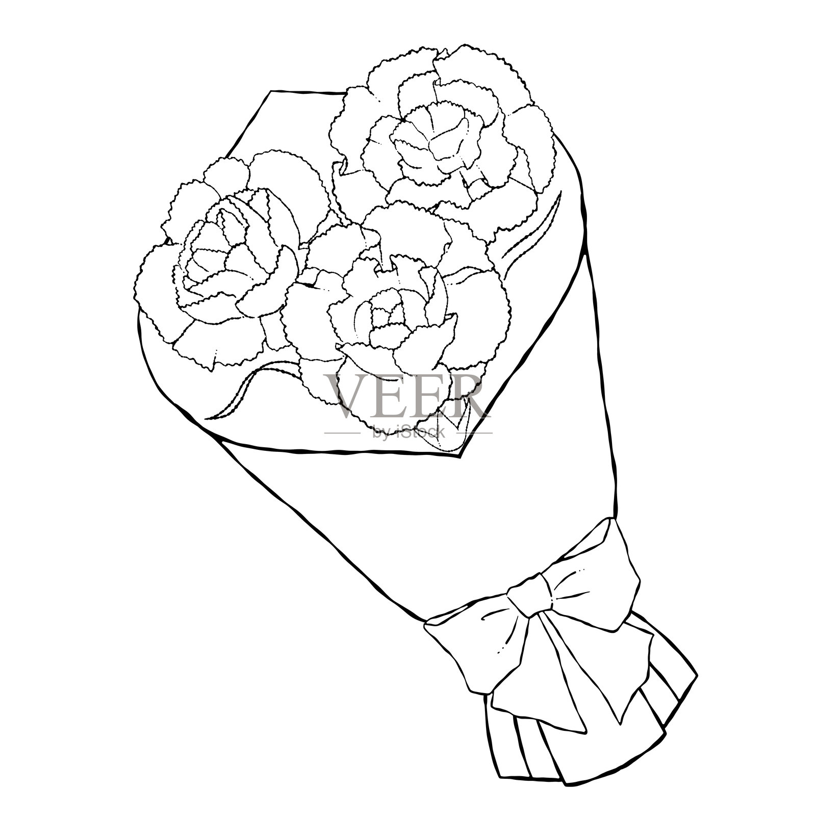 手绘线条艺术插图的小康乃馨花束插画图片素材