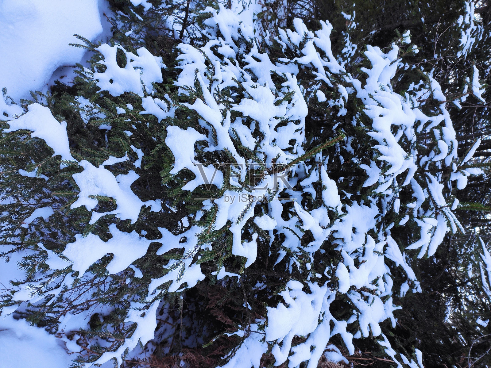 冬天的美丽色彩照片摄影图片