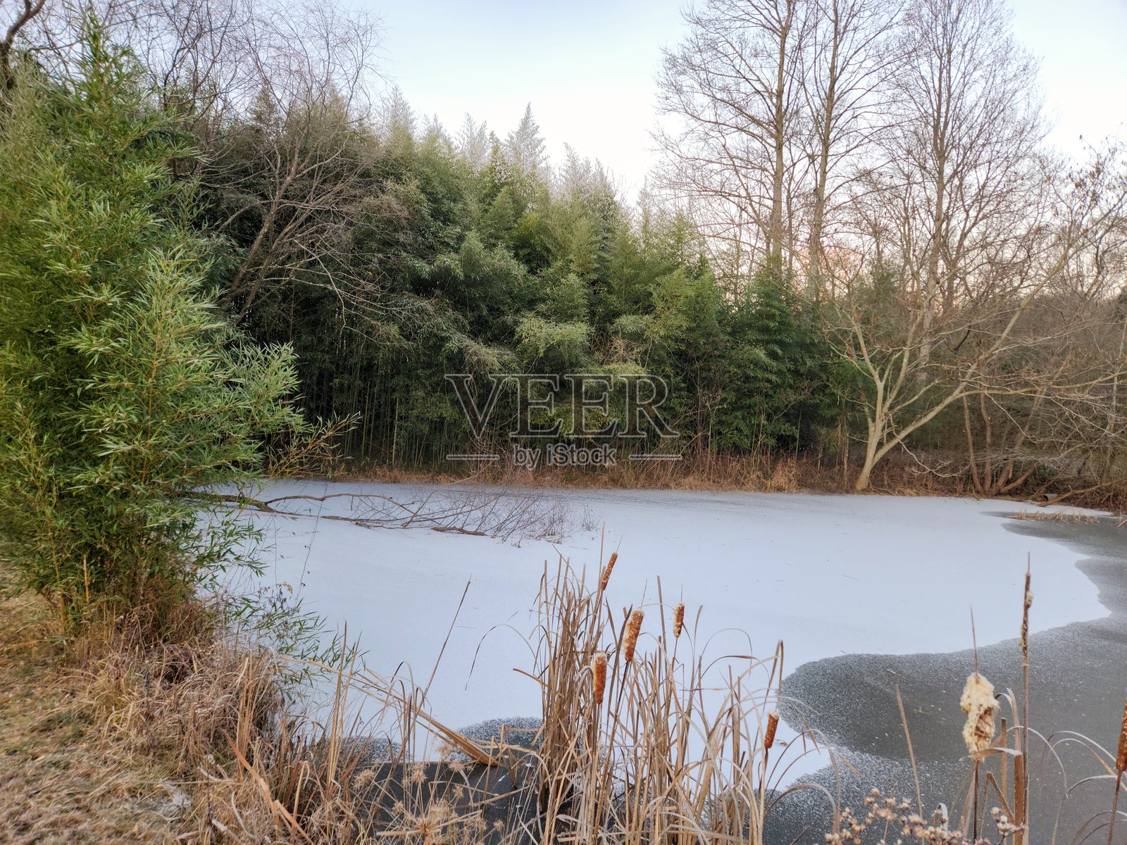 冰冻的池塘照片摄影图片
