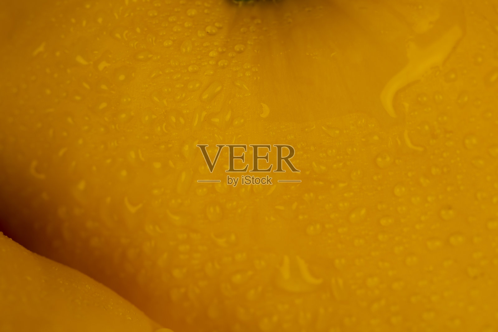 小巧美味的成熟黄南瓜照片摄影图片