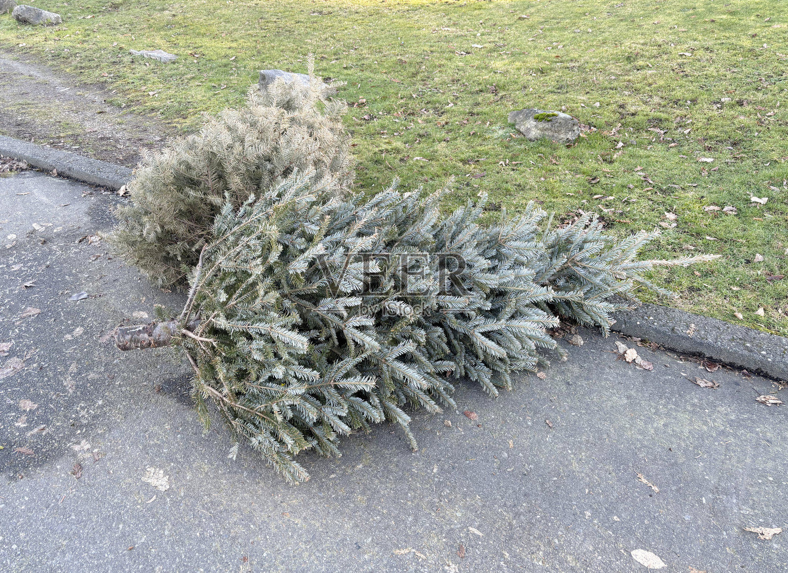 圣诞节之后照片摄影图片