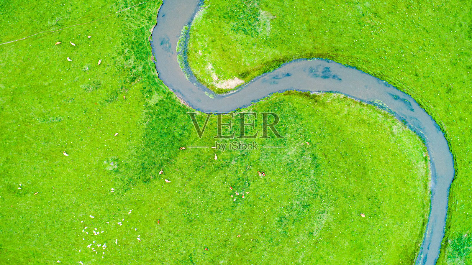 蜿蜒的河流和草原上的牛羊群照片摄影图片