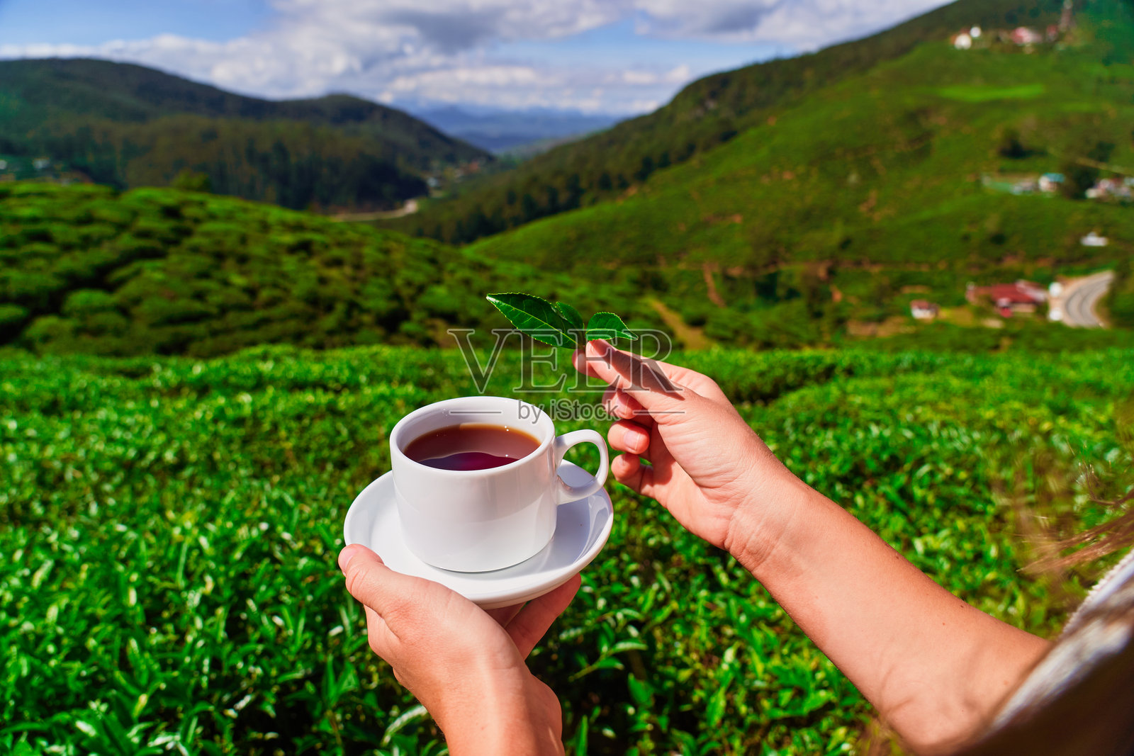 手握香气四溢的红茶,背景是斯里兰卡努沃勒埃利耶的茶园照片摄影图片