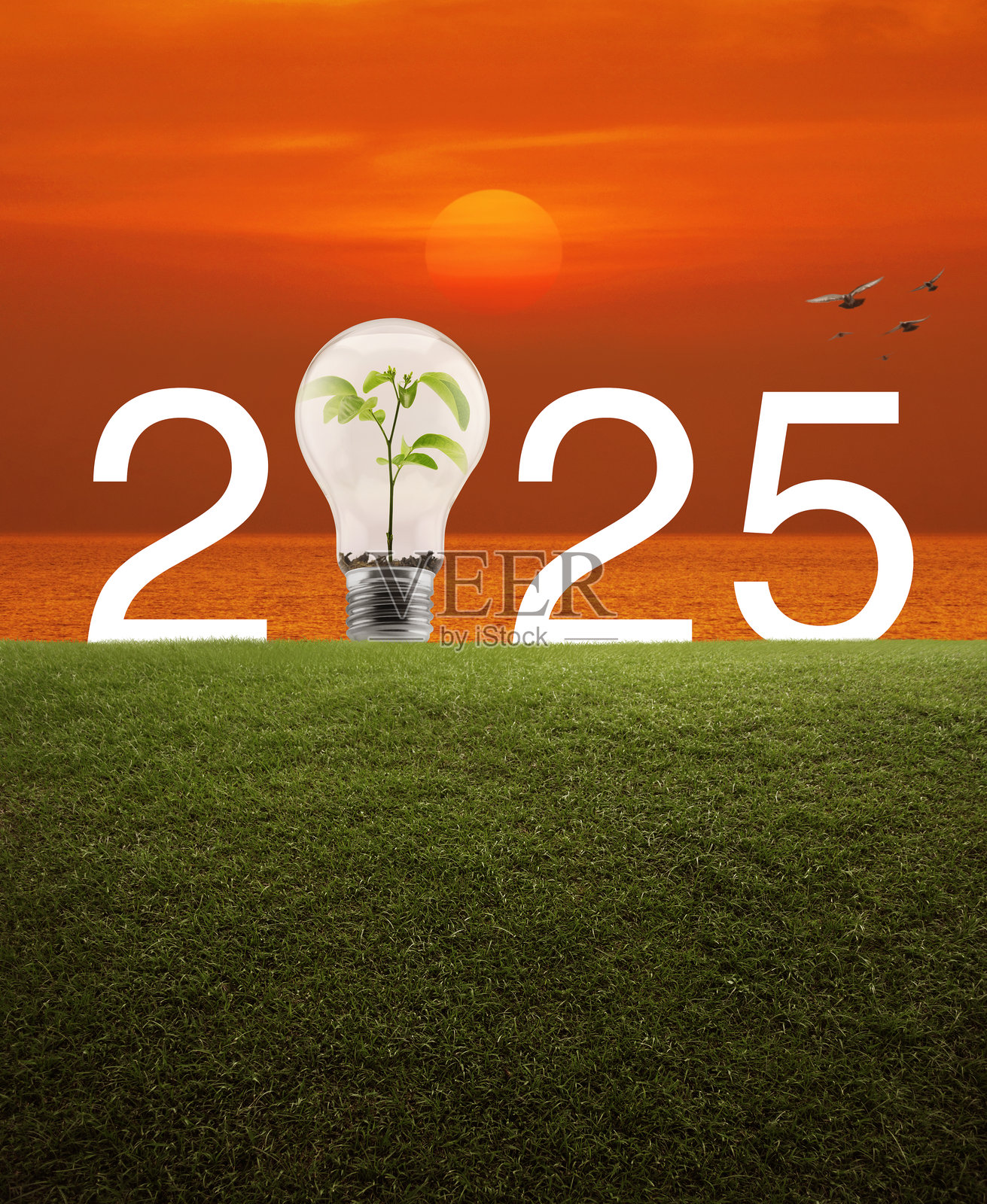 2025年快乐新年生态封面概念照片摄影图片