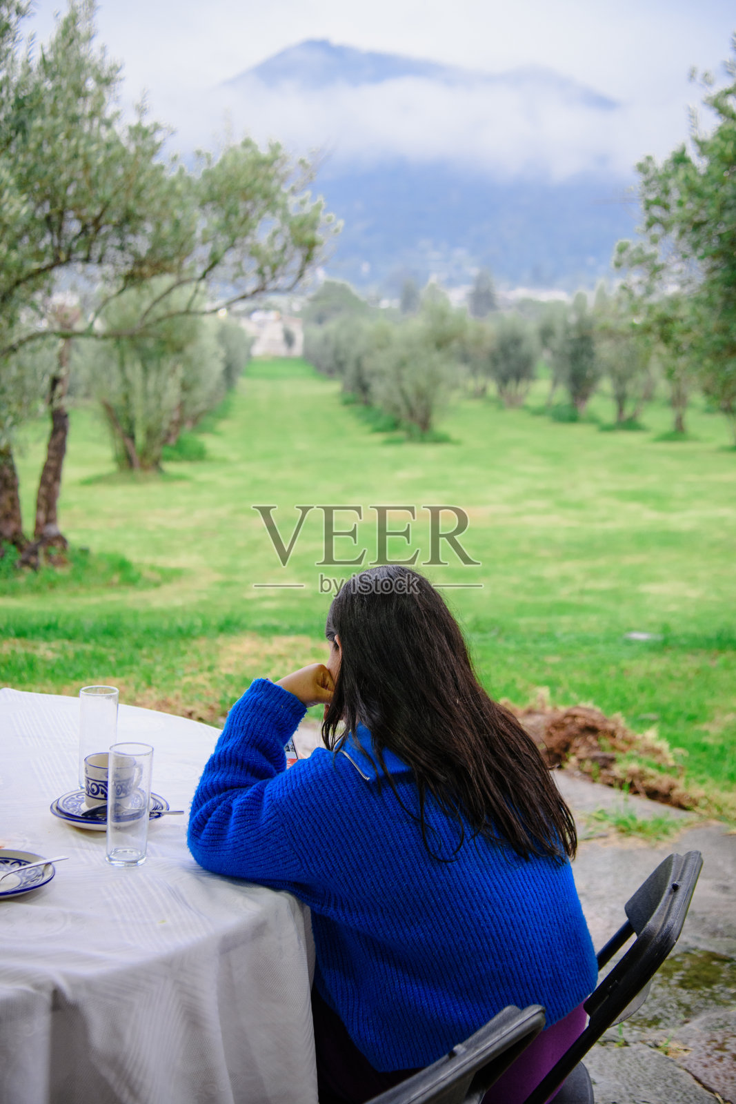 女人坐着看着阴天的橄榄树田野照片摄影图片