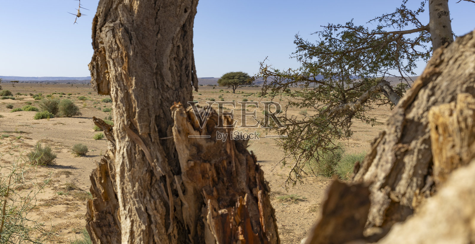 沙漠照片摄影图片