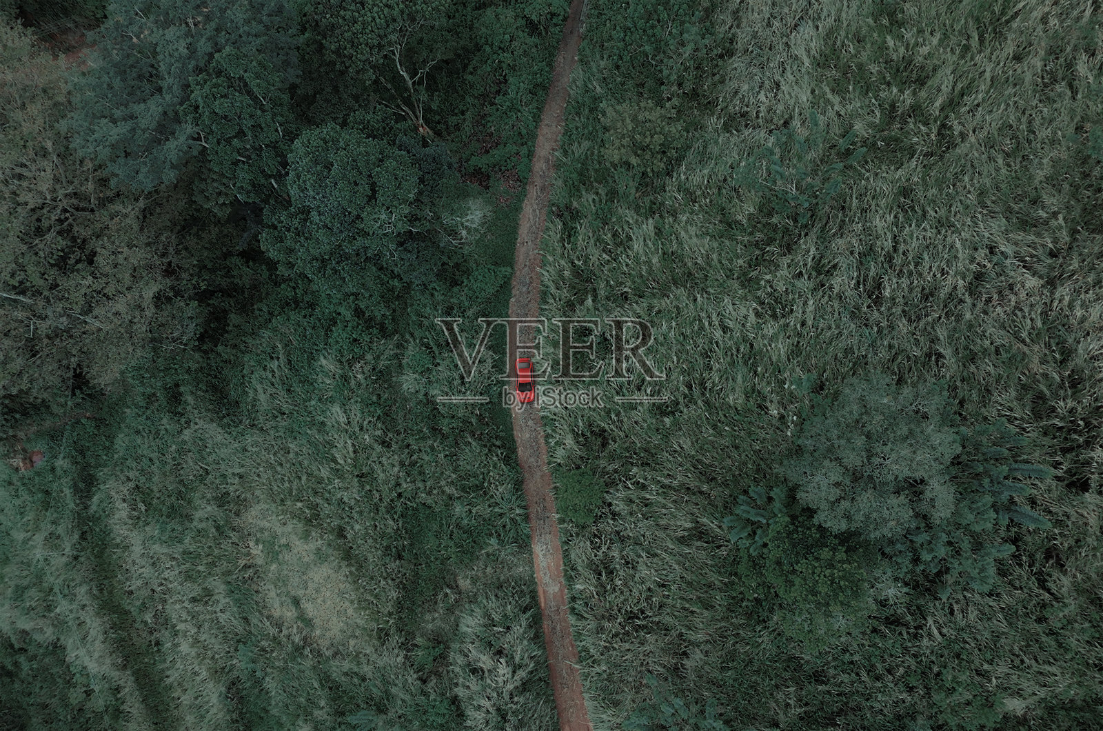 孤独的荒野之旅照片摄影图片