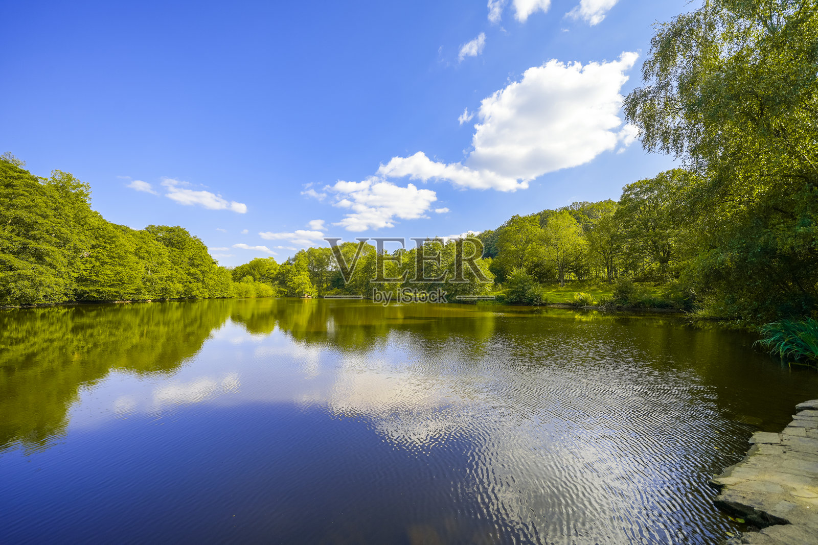 弗兰克瑙钓鱼池的景观。水边的风景与弗兰克瑙附近的绿色自然环境。照片摄影图片