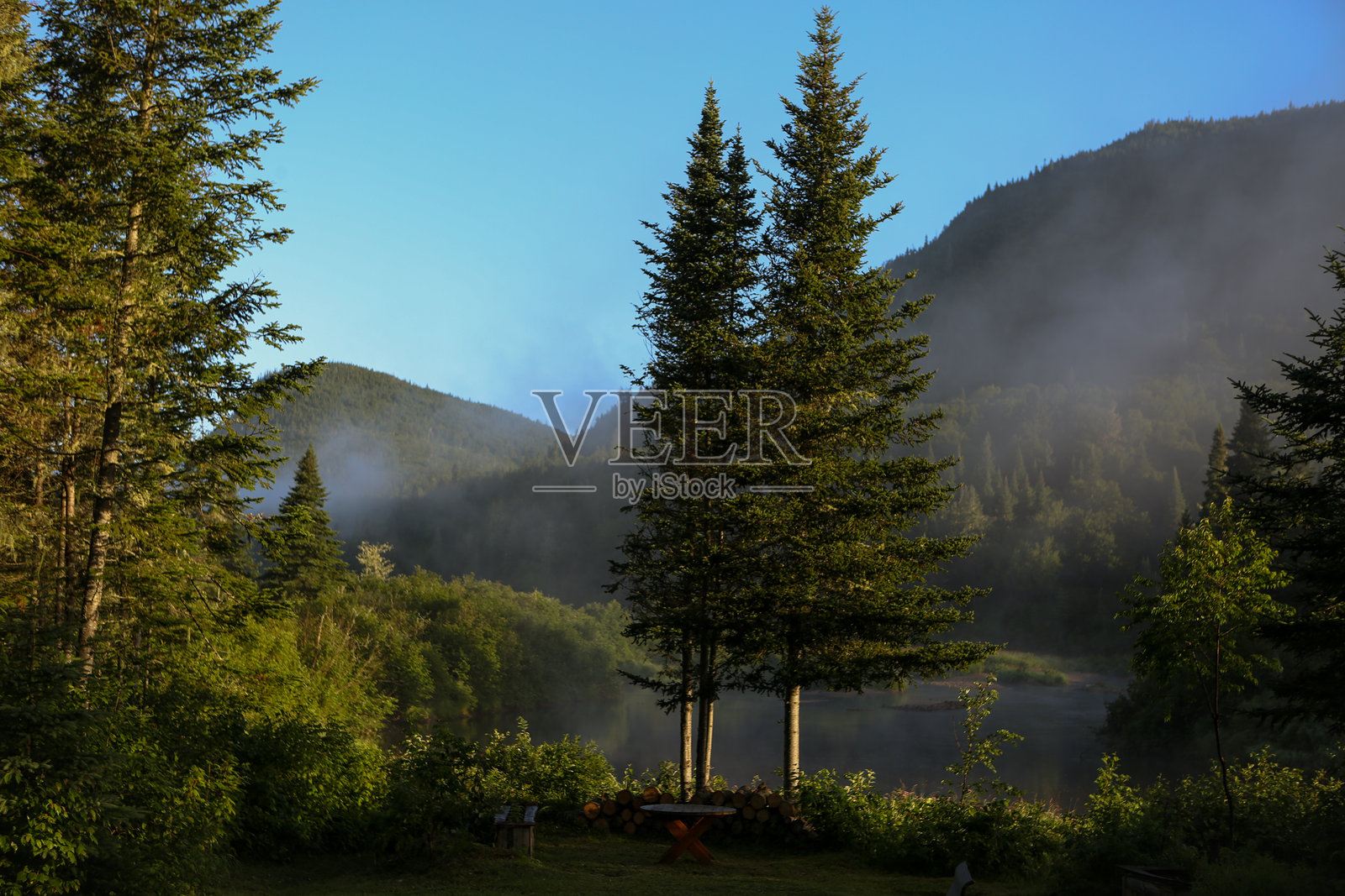 高大的松树与广阔的山脉照片摄影图片