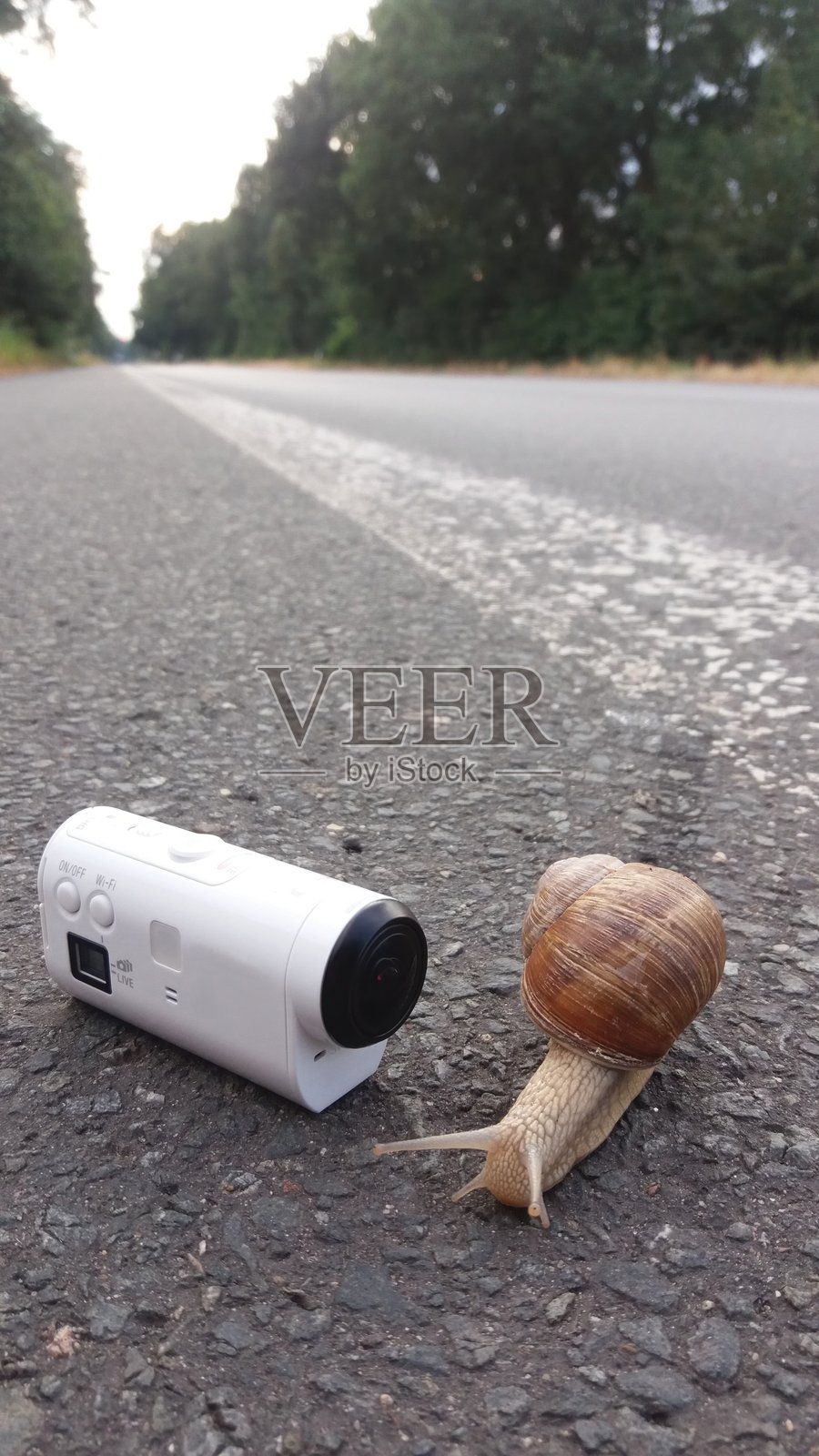 在宁静而优美的乡间小路上与蜗牛的好奇邂逅照片摄影图片