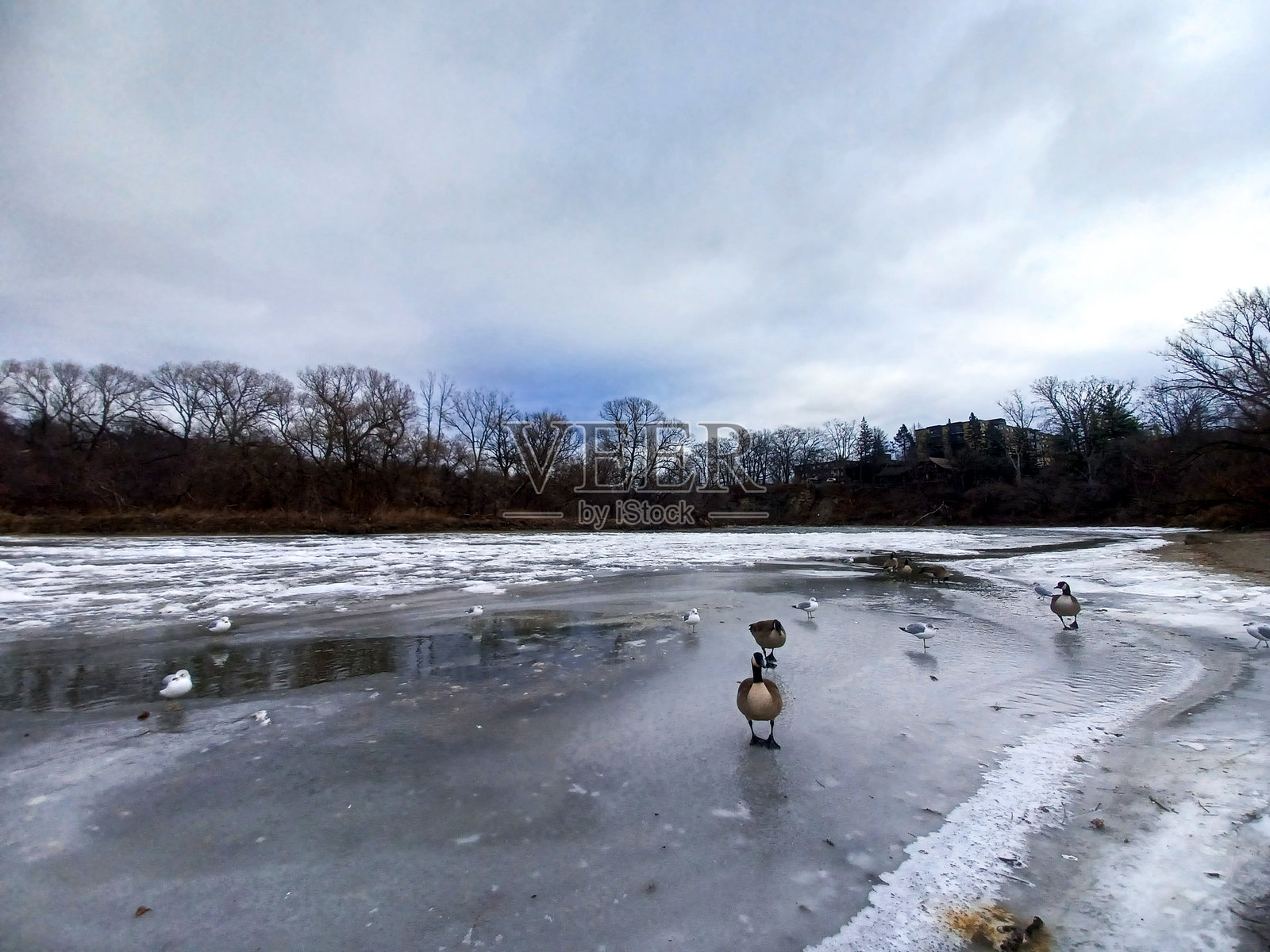 冬季的汉伯河照片摄影图片