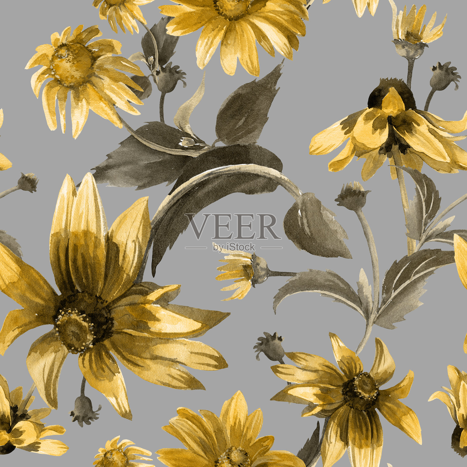 水彩无缝图案,夏季花卉。大型黑心菊花,优雅的图案。插画图片素材