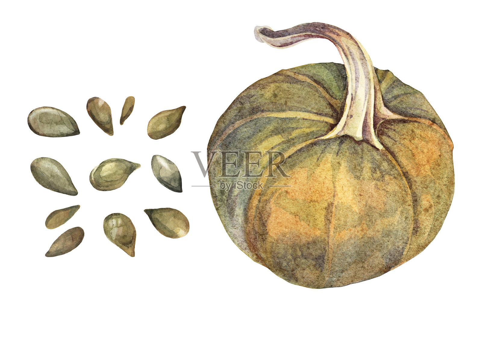 水彩南瓜、绿色、棕色种子组合,孤立在白色背景上。健康的早餐食品或小吃。手绘插图适用于食谱或厨房。自然餐点可用于包装或壁纸。插画图片素材