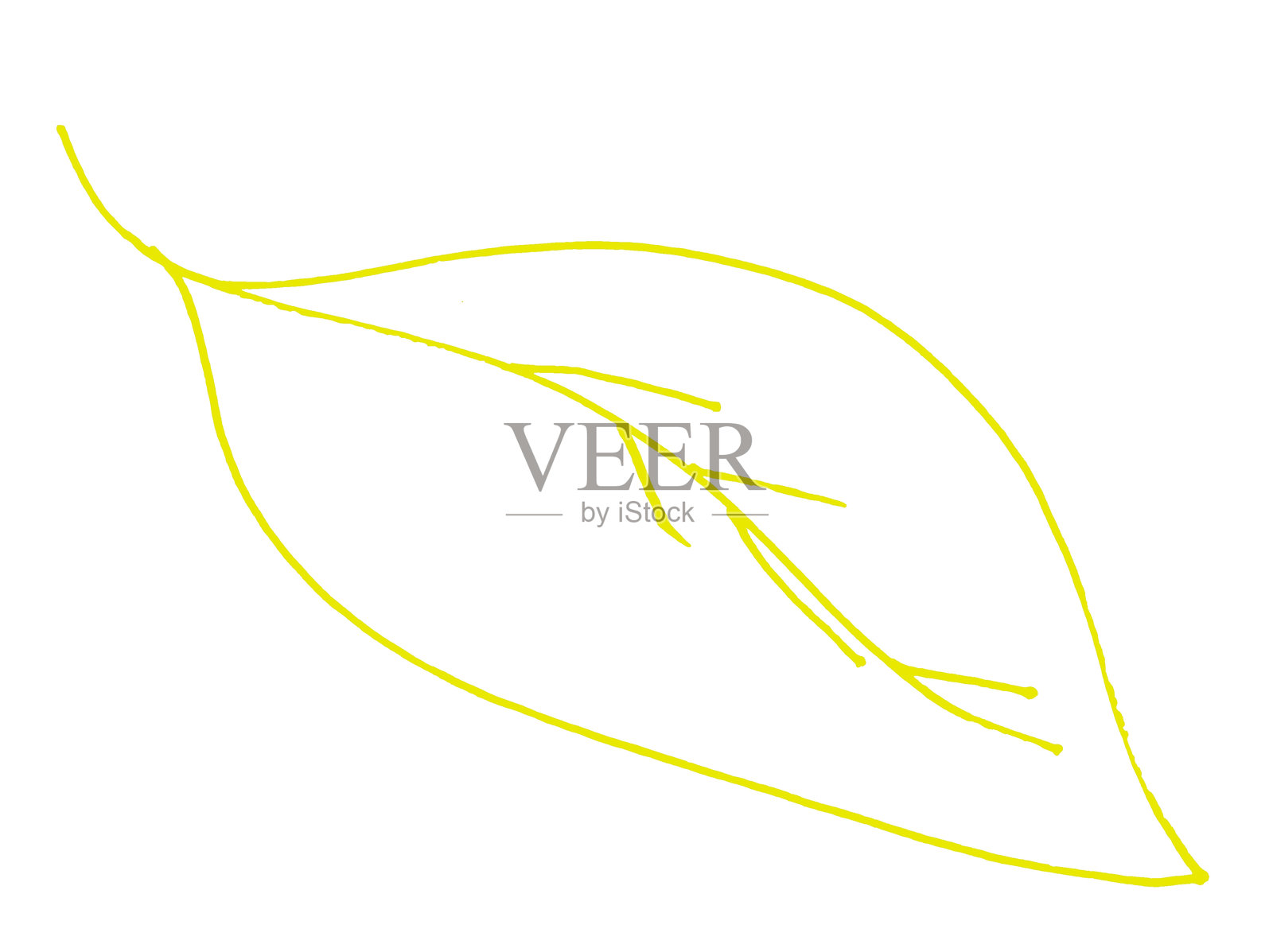 叶子插图插画图片素材