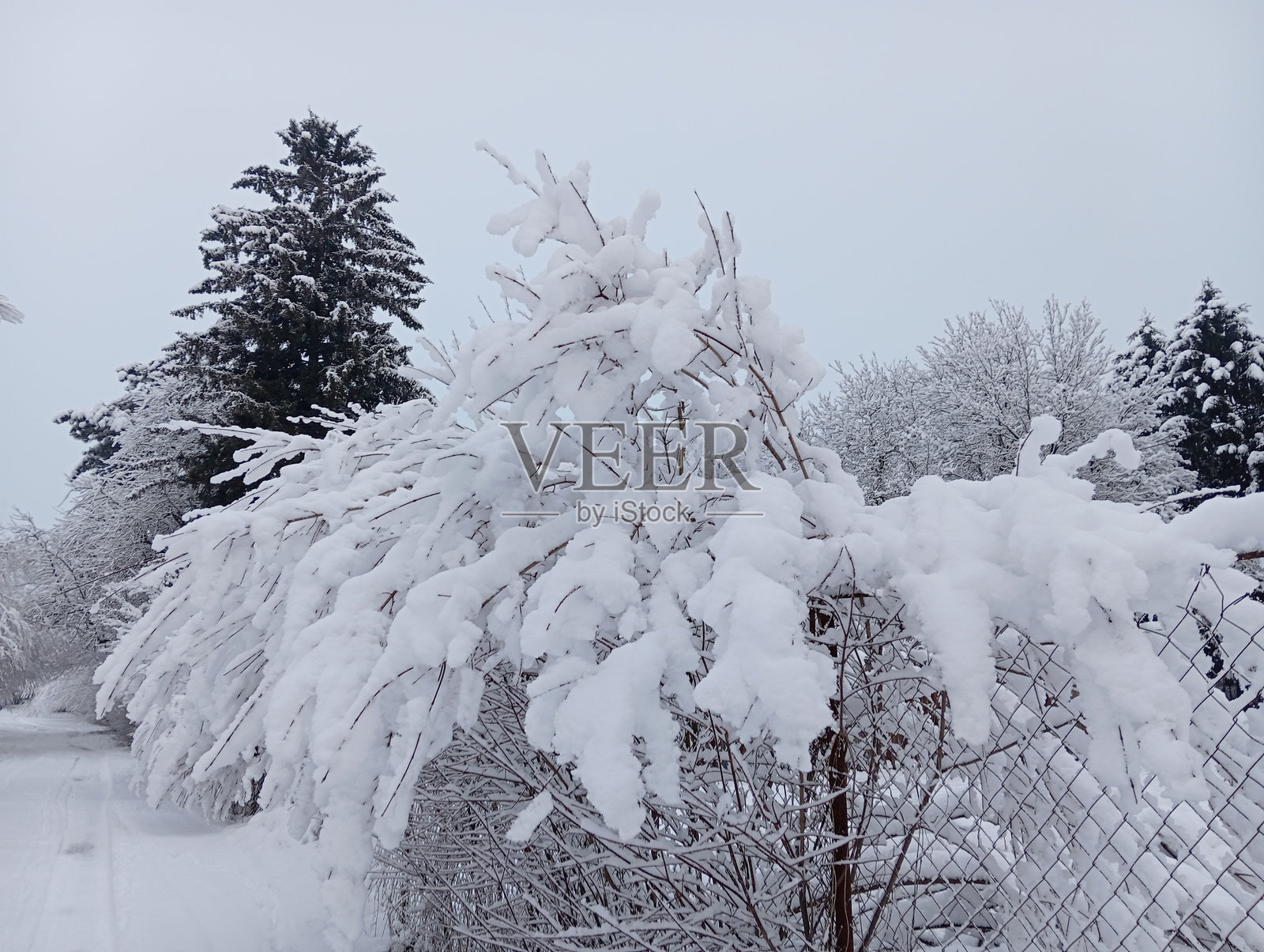 冬季时光照片摄影图片