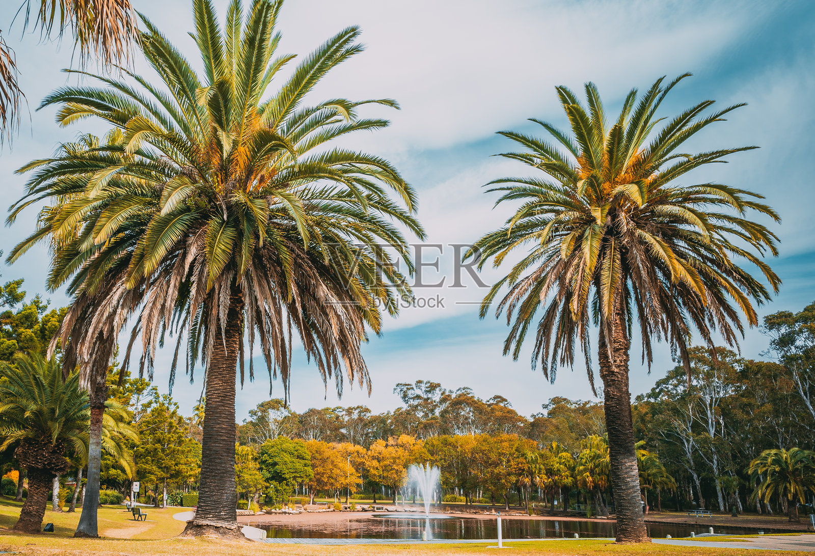 位于杜恩赛德的努拉金吉保护区,这座精美的花园由黑镇市议会与中国聊城市政府共同设计和建造。照片摄影图片