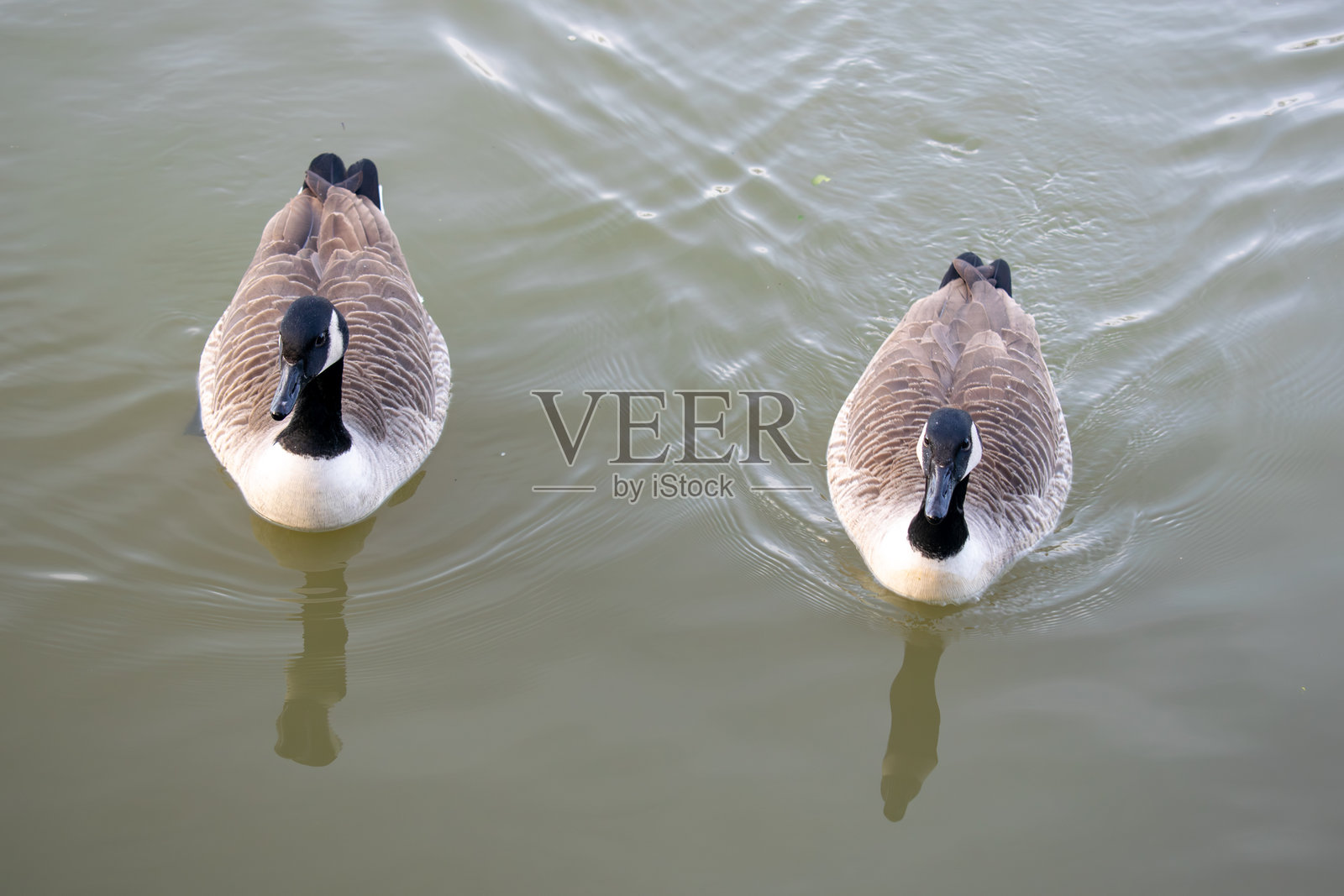 生活方式照片摄影图片