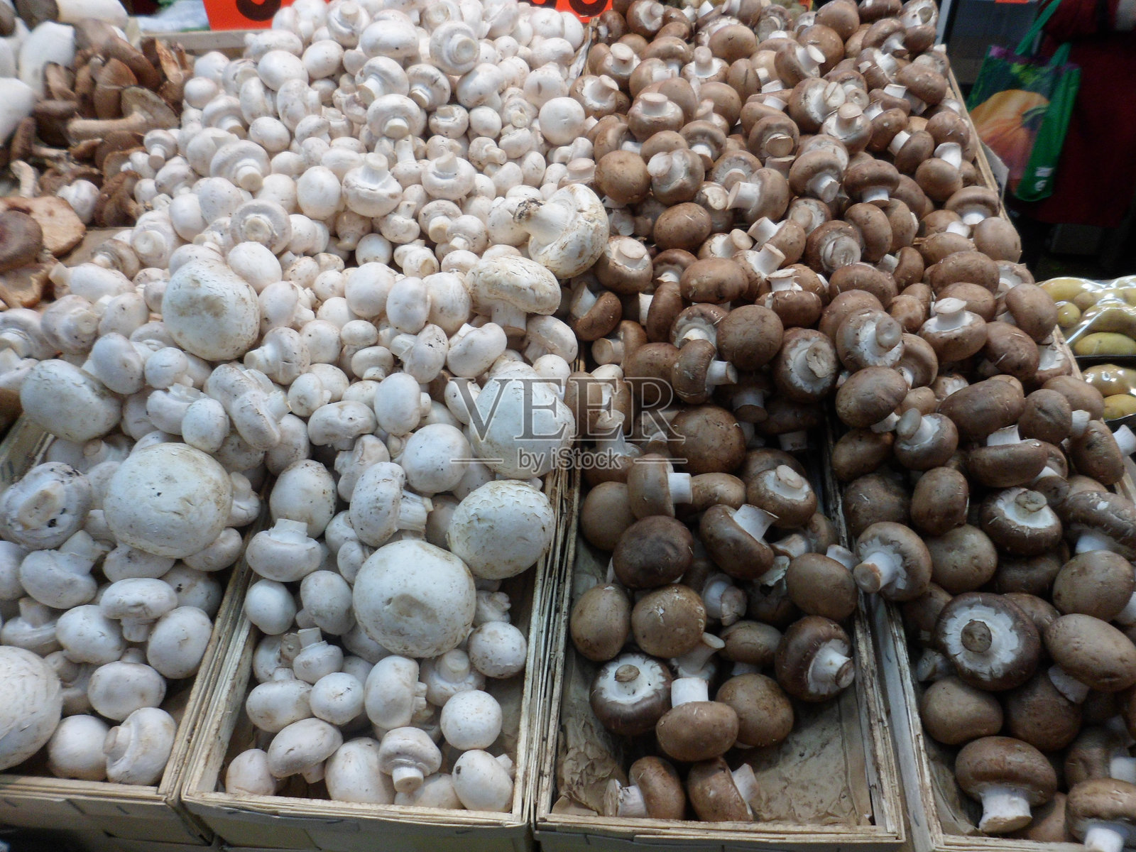 蒙特利尔的香菇在让·塔隆市场照片摄影图片