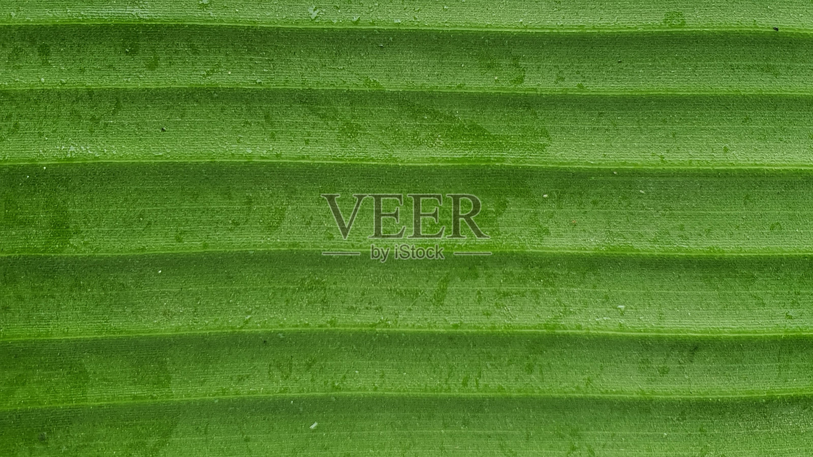 直线照片摄影图片