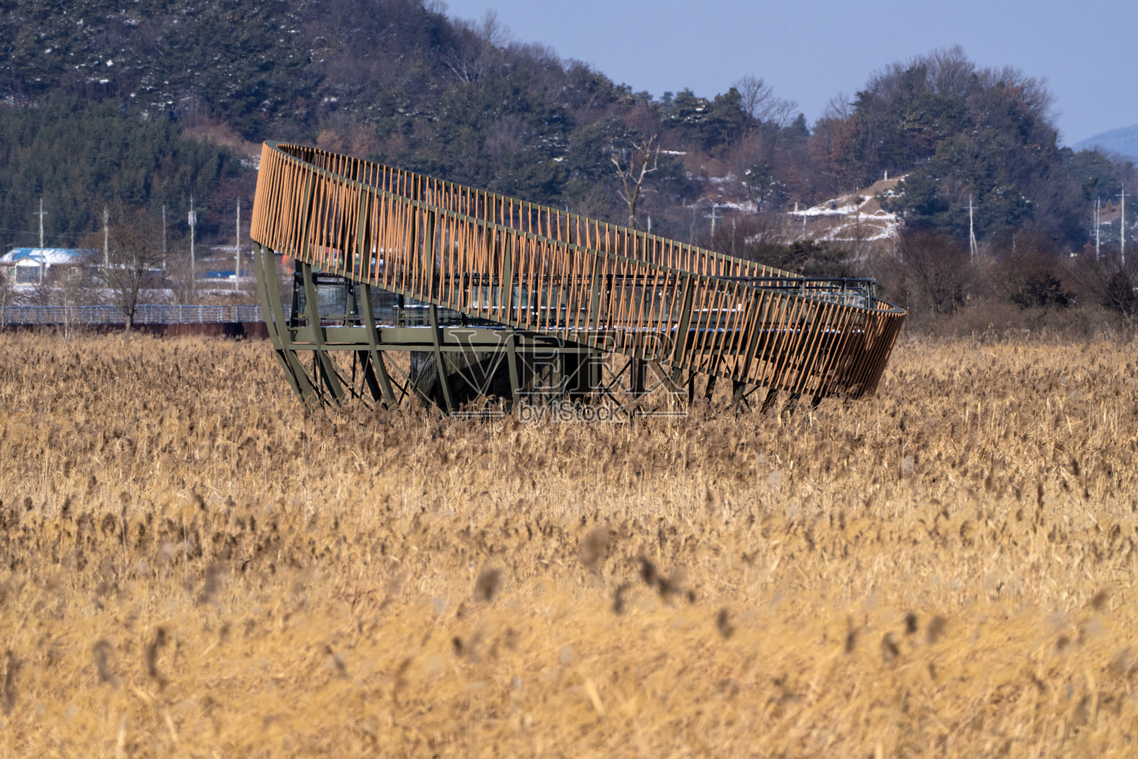 芦苇荡中的天文台照片摄影图片