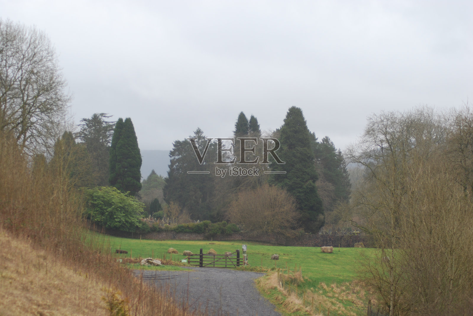 威尔士南部格拉摩根谷的农田被森林环绕照片摄影图片