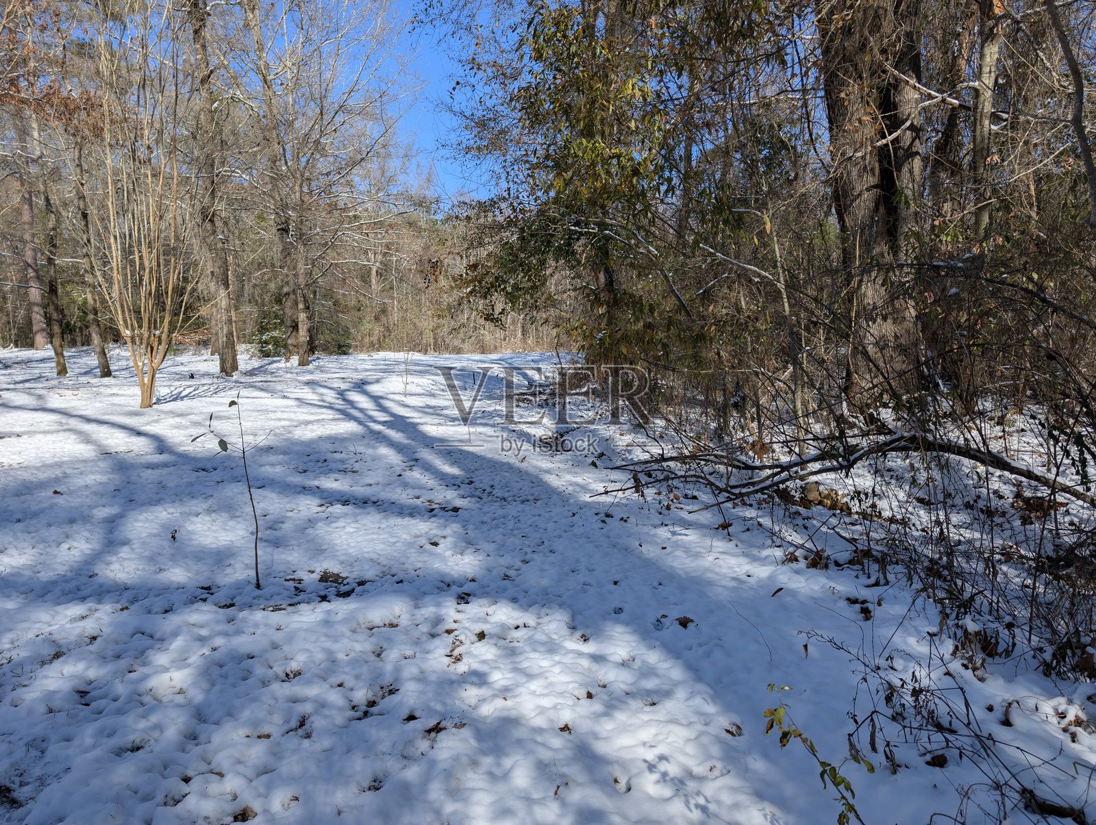 2025年大湾区暴风雪照片摄影图片
