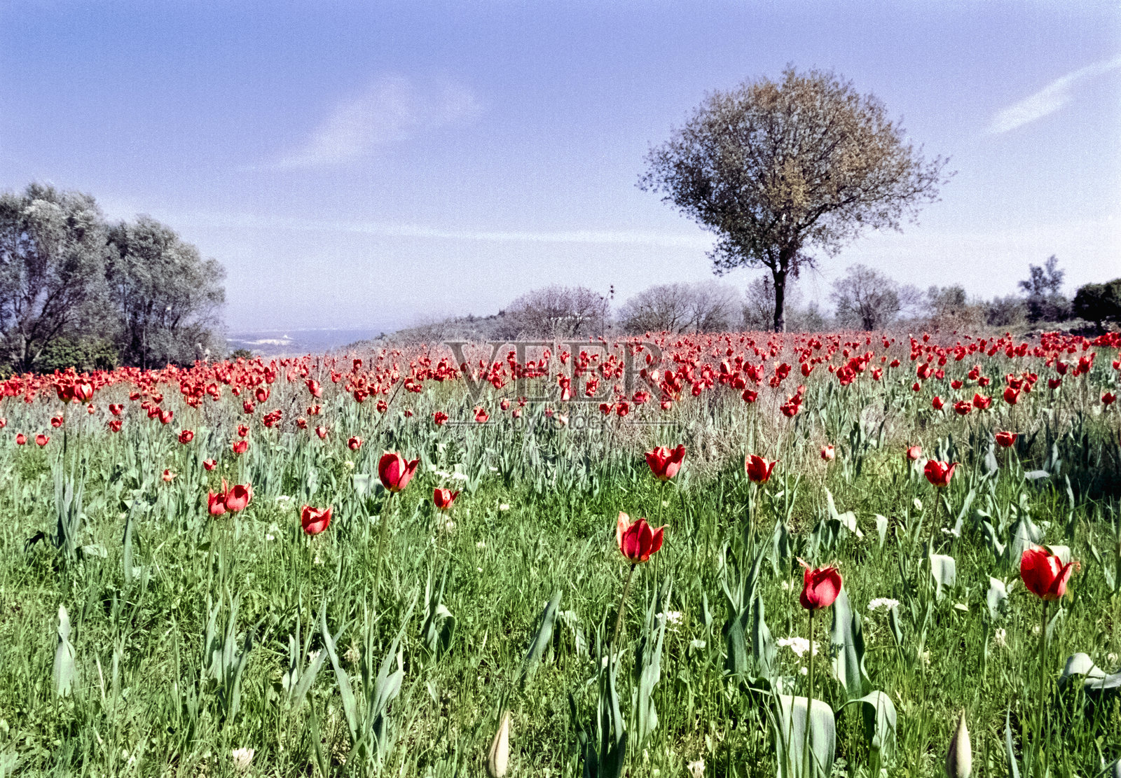 希腊岛屿风景用老式彩色胶卷拍摄照片摄影图片
