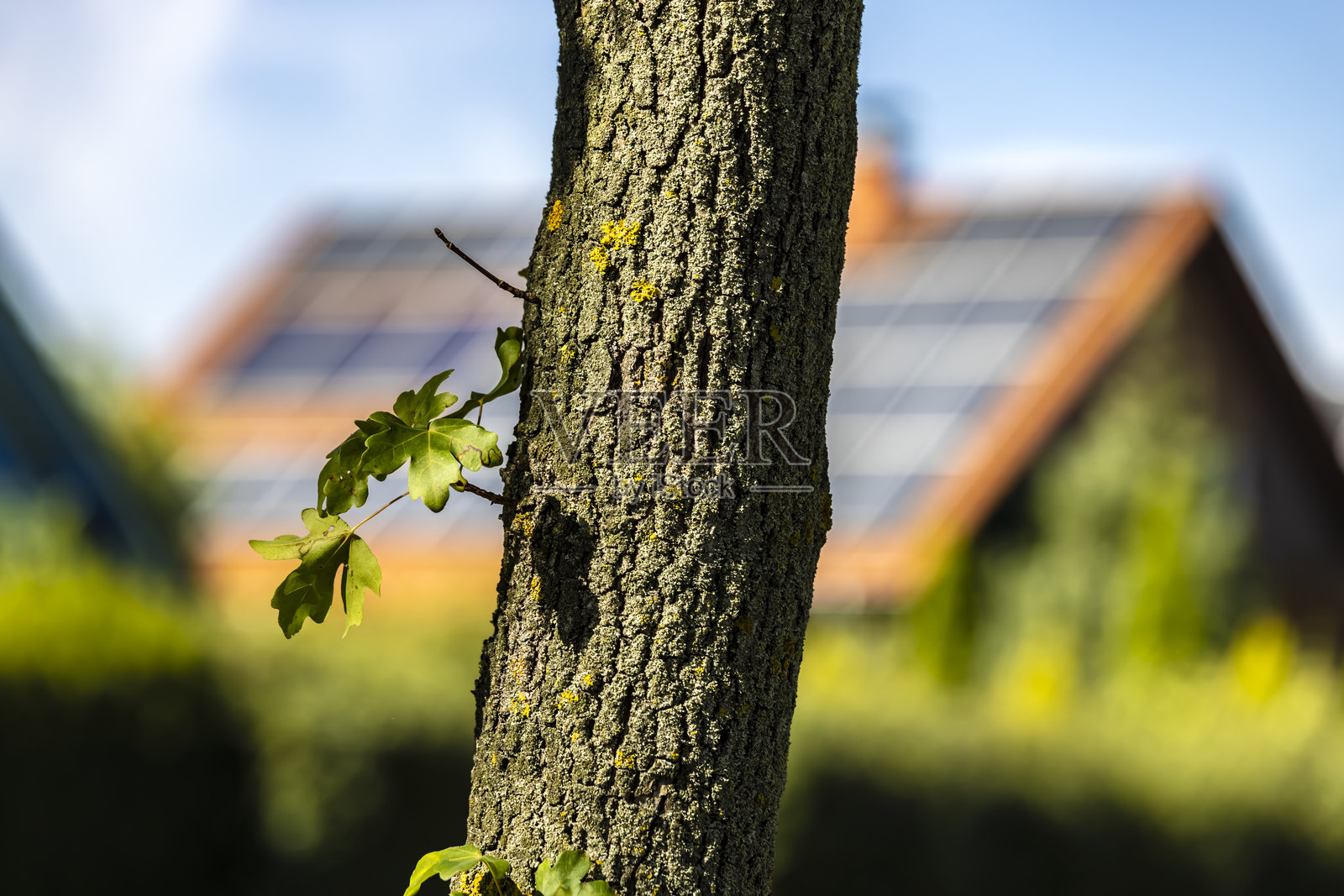 带有太阳能电池板的屋顶照片摄影图片