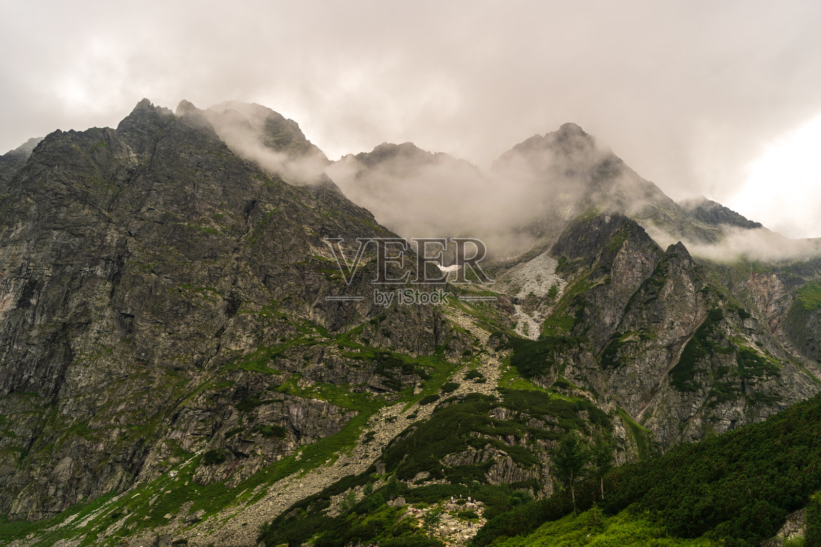 高塔特拉国家公园的山地风景,阴云密布的天气下,黑暗的云杉森林。照片摄影图片