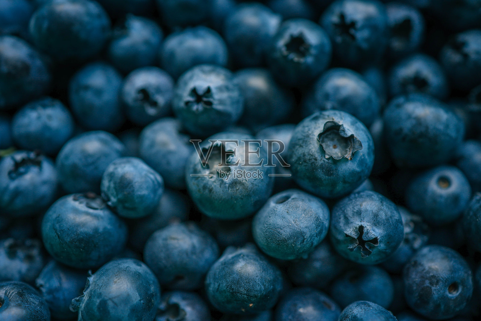 新鲜蓝莓的特写镜头。特写突出了浆果的质地和细节,展示了它们深蓝色的颜色和自然的瑕疵。照片摄影图片
